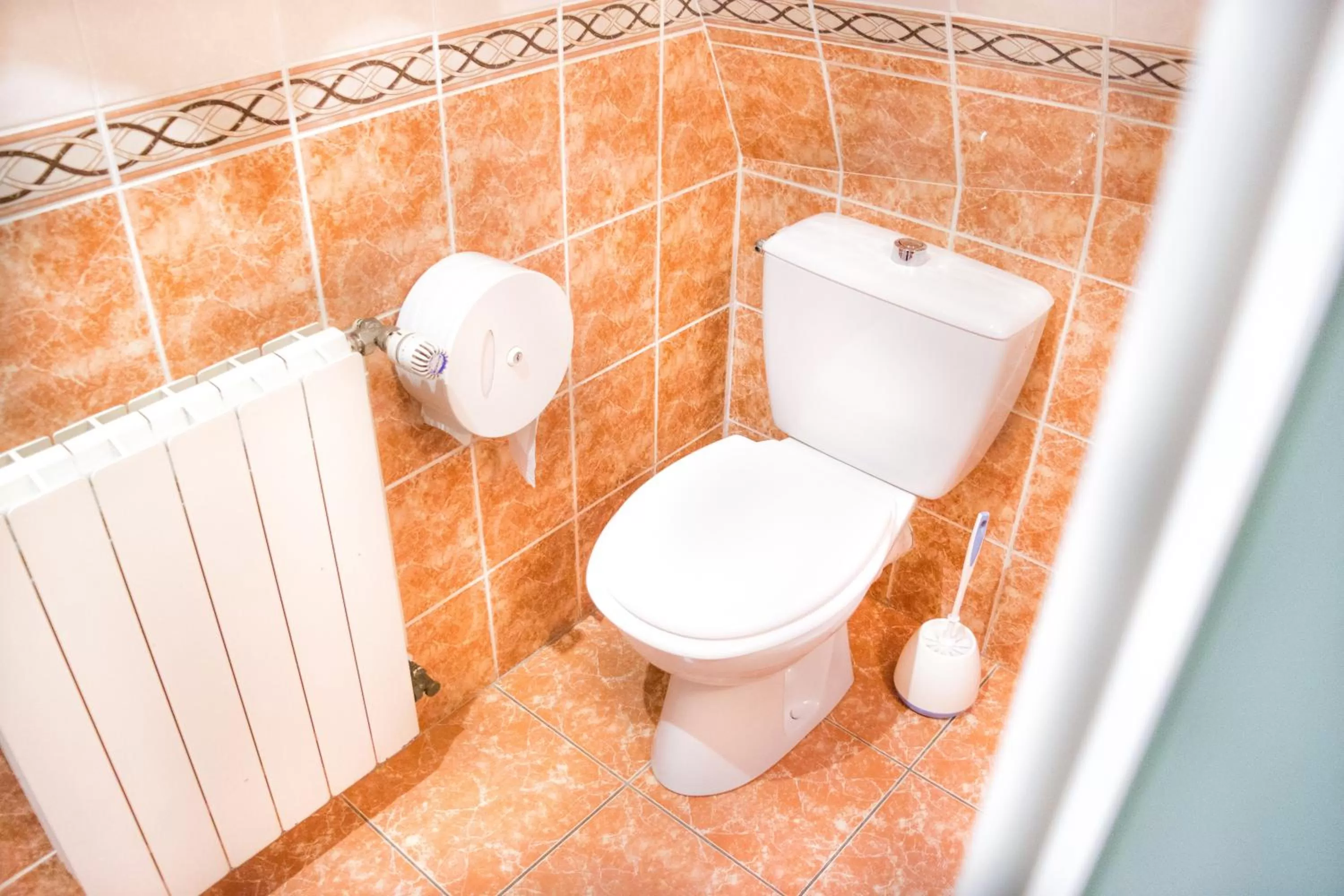 Bathroom in Hotel Audran