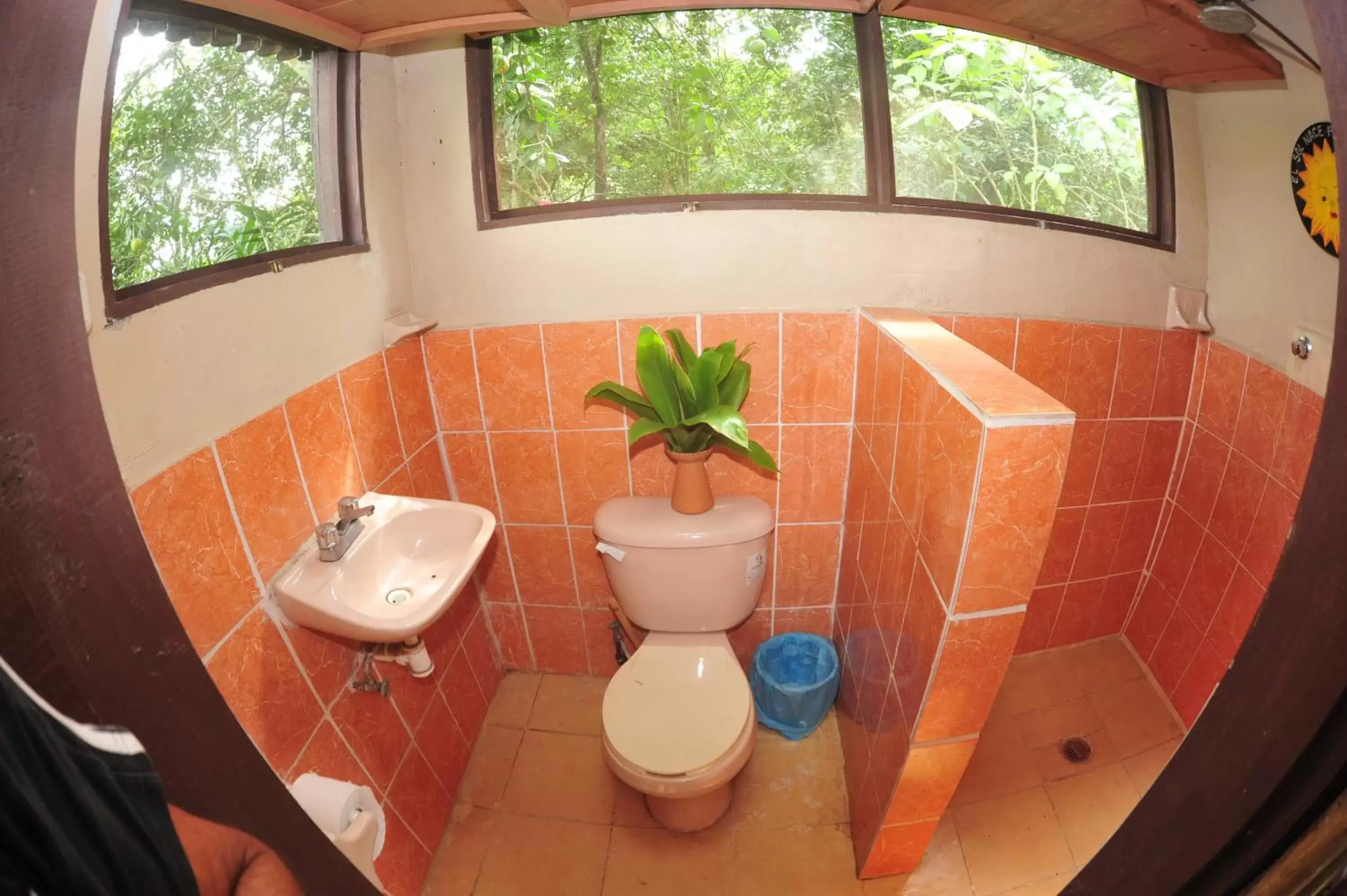 Bathroom in Ecobiosfera