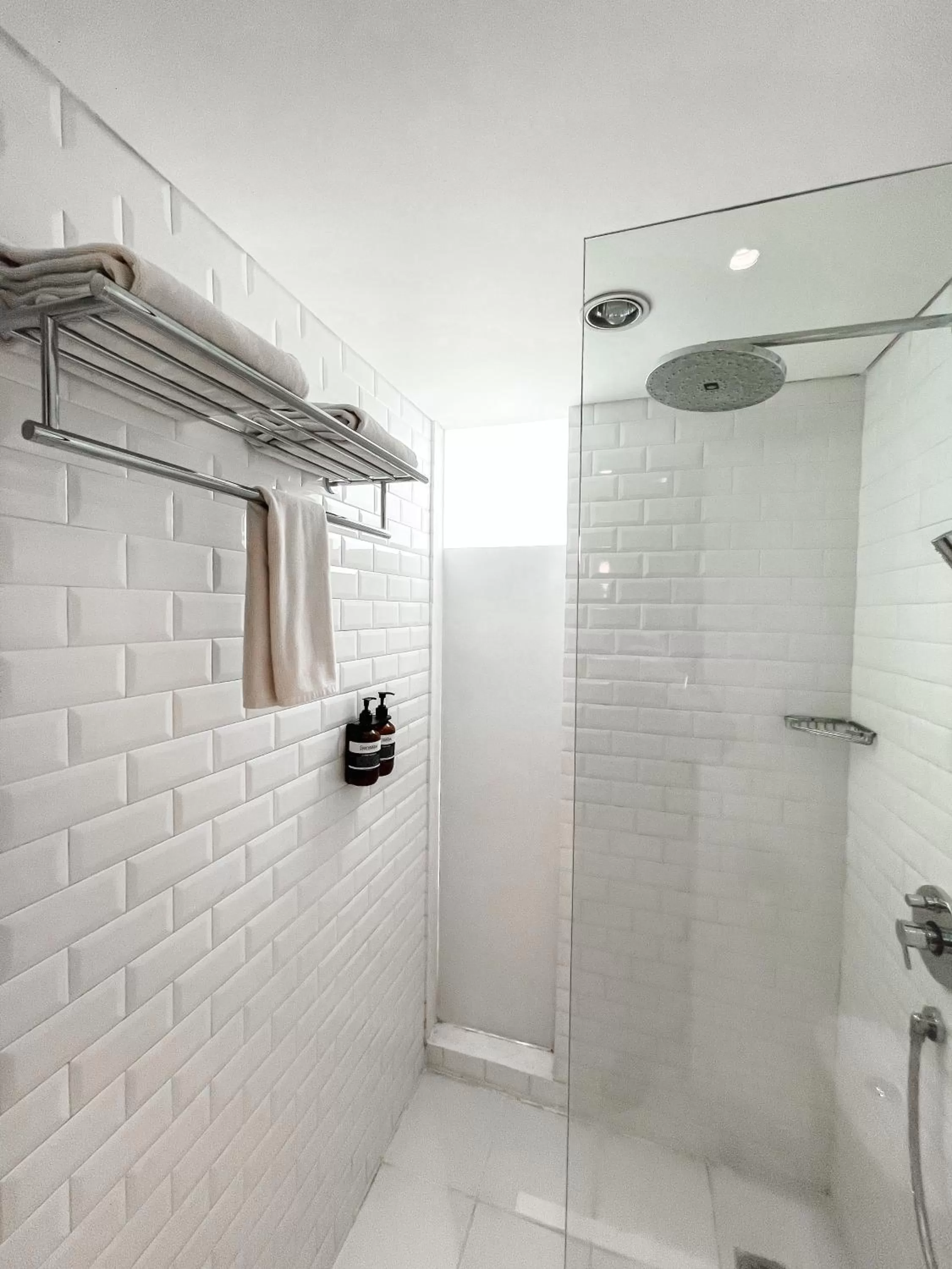 Shower in White Tree Residence