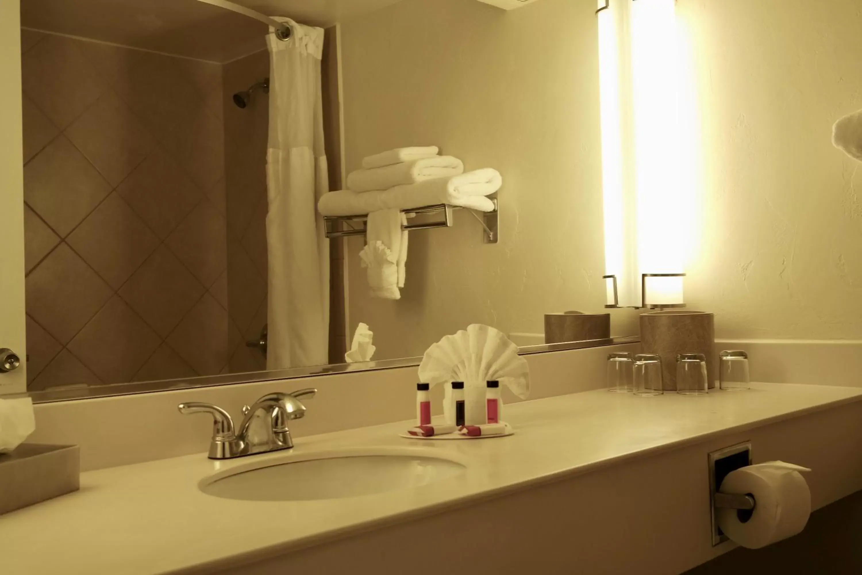 Bathroom in Ramada by Wyndham Las Cruces Hotel & Conference Center