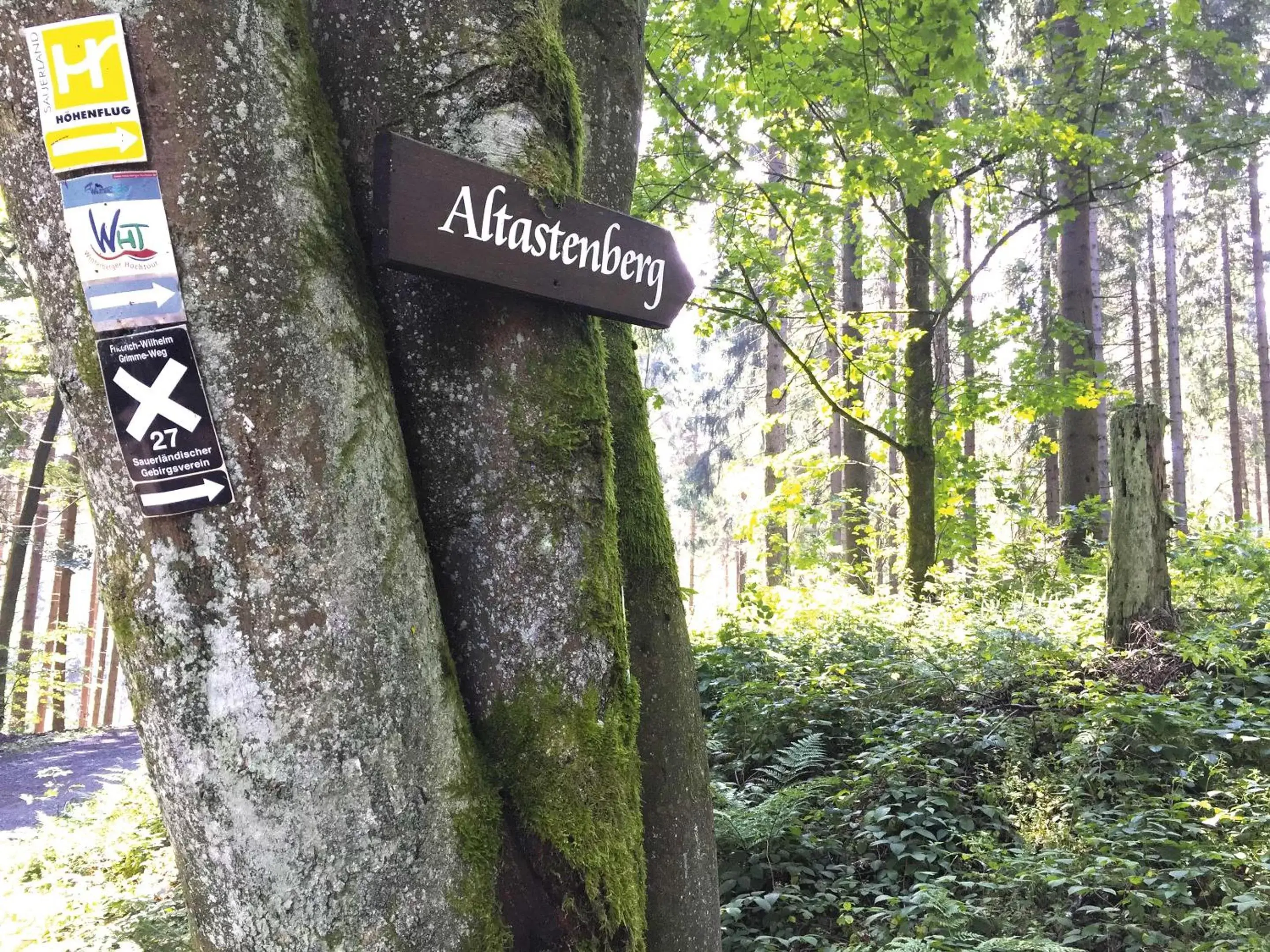 Natural landscape in Der schöne Asten - Resort Winterberg