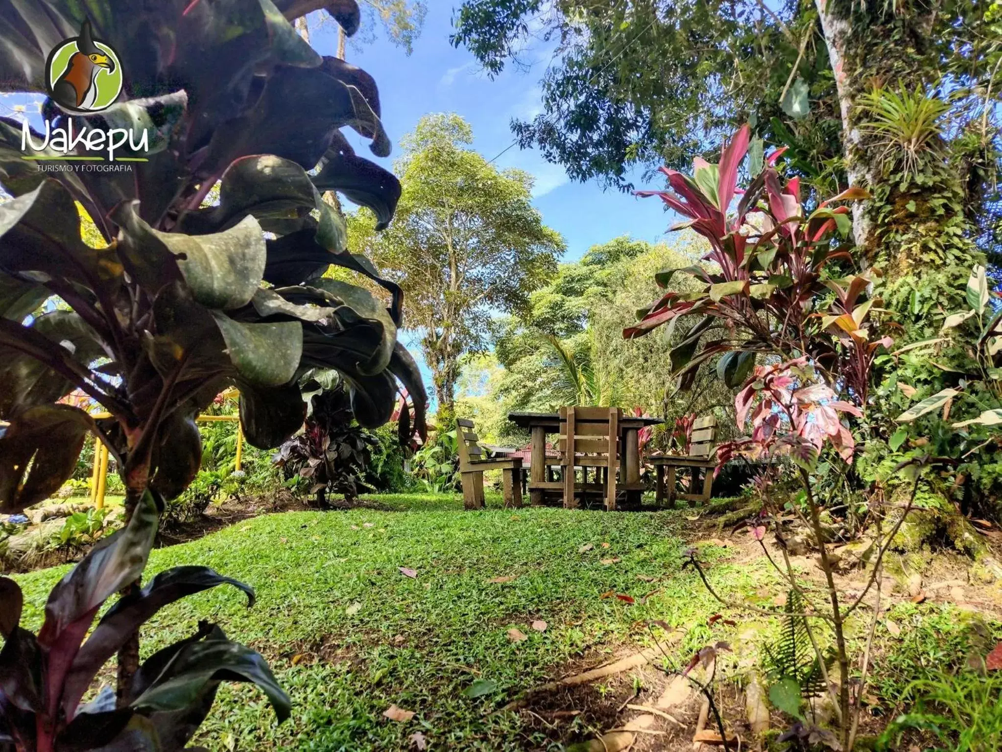 Garden in Vista Turrialba Lodge