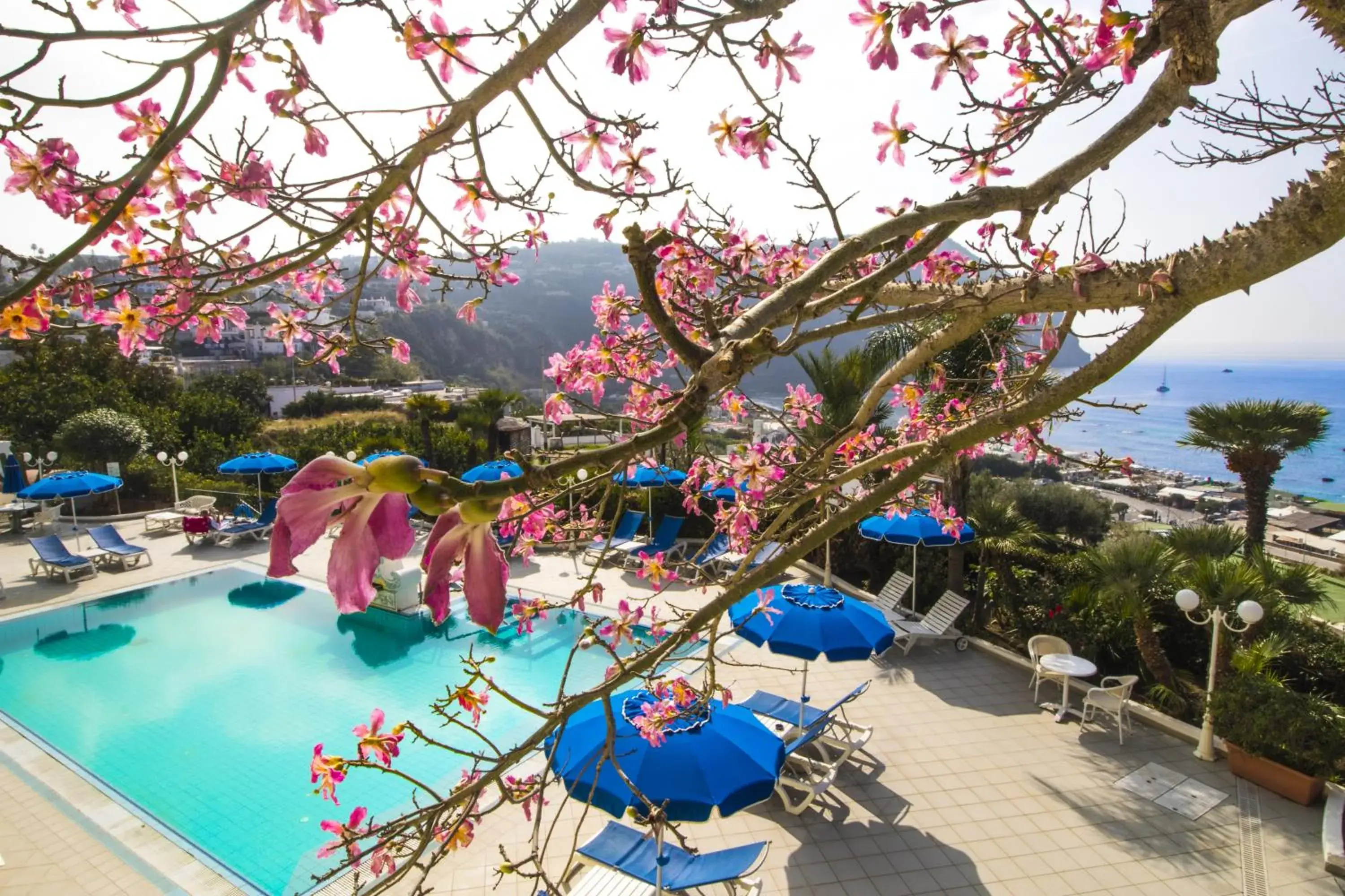 Restaurant/places to eat, Pool View in Hotel Capizzo