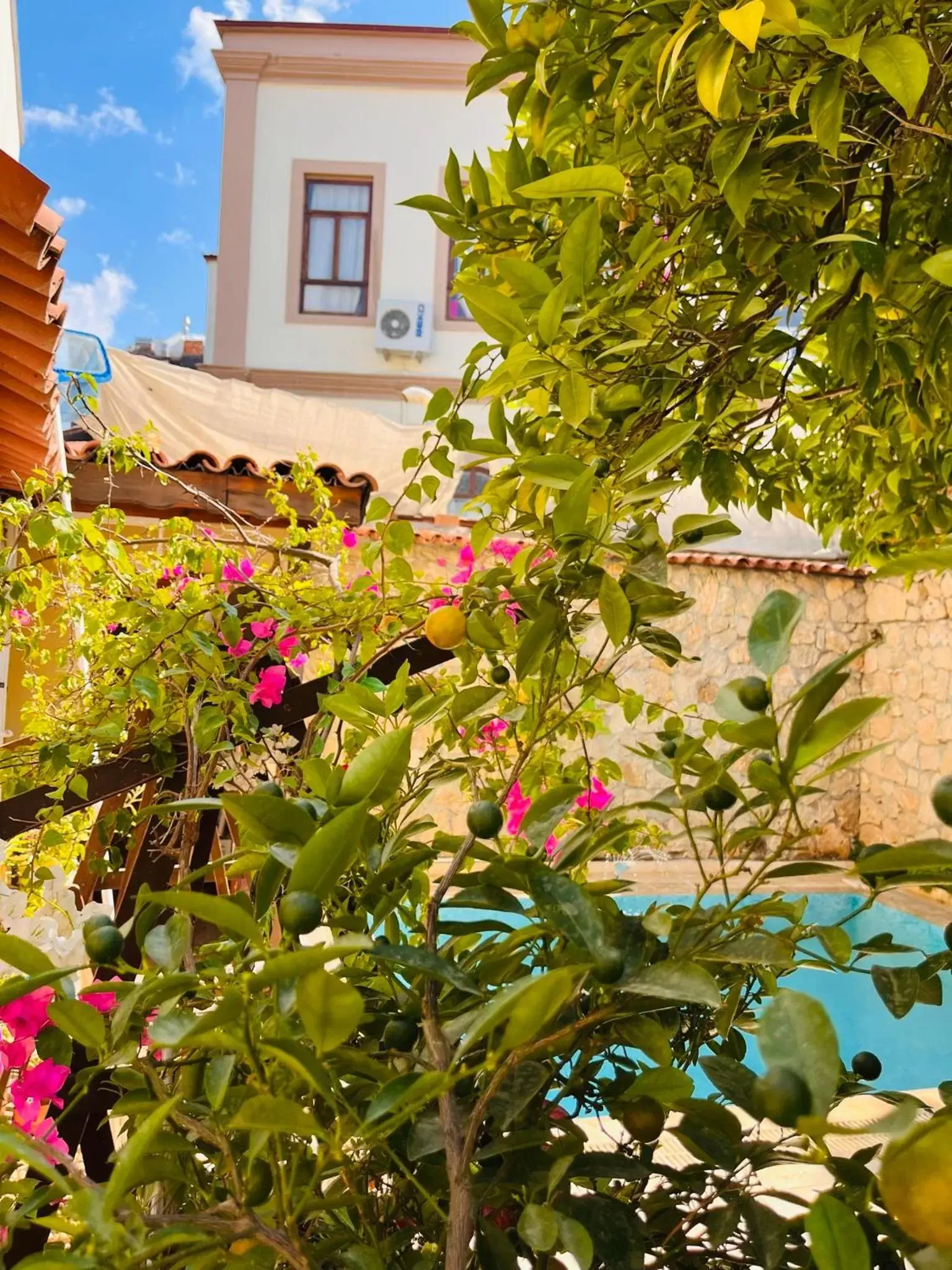 Day, Property Building in Kaleici Hotel Day, Property Building in Kaleici Hotel