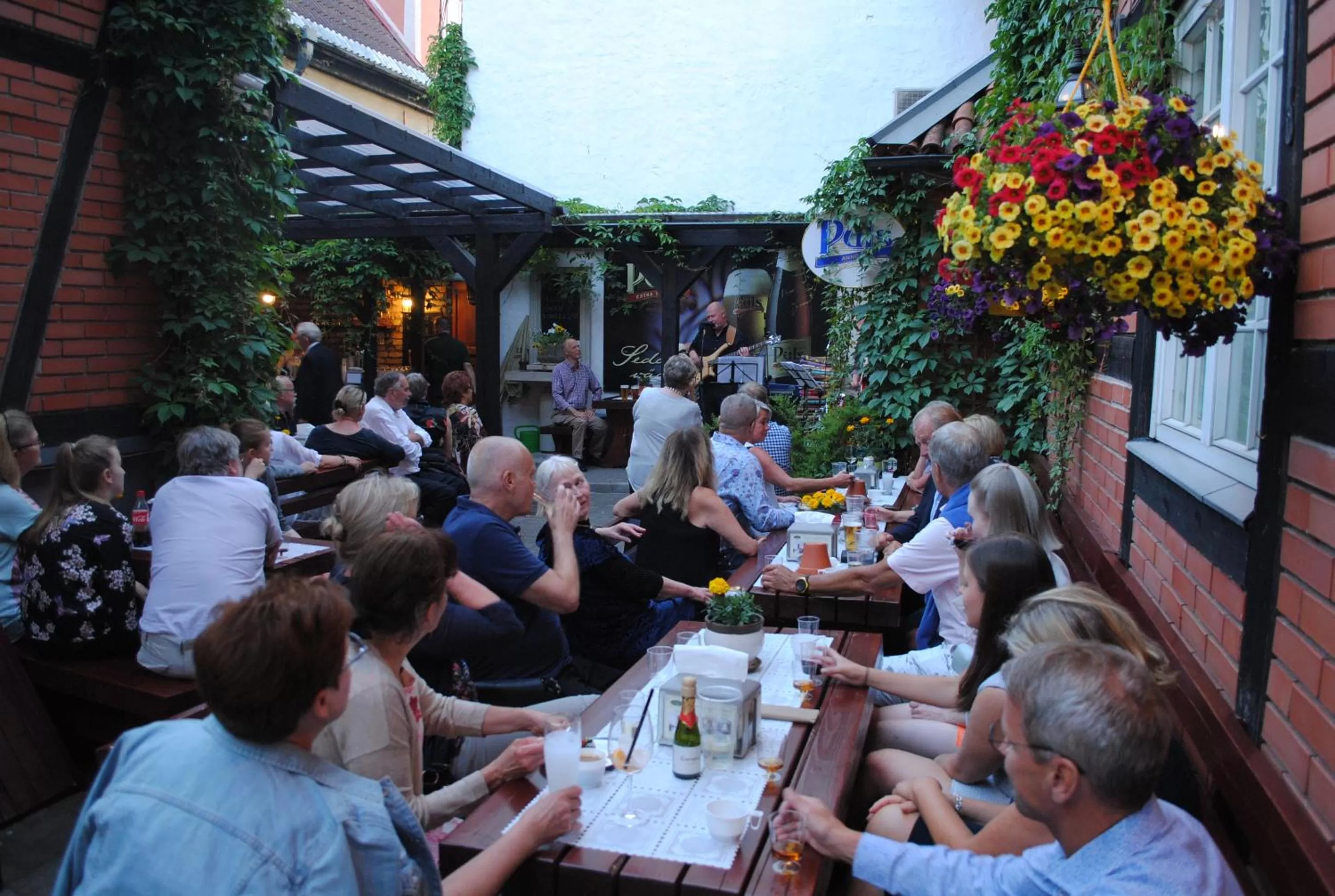 Karaoke in Alex Maja