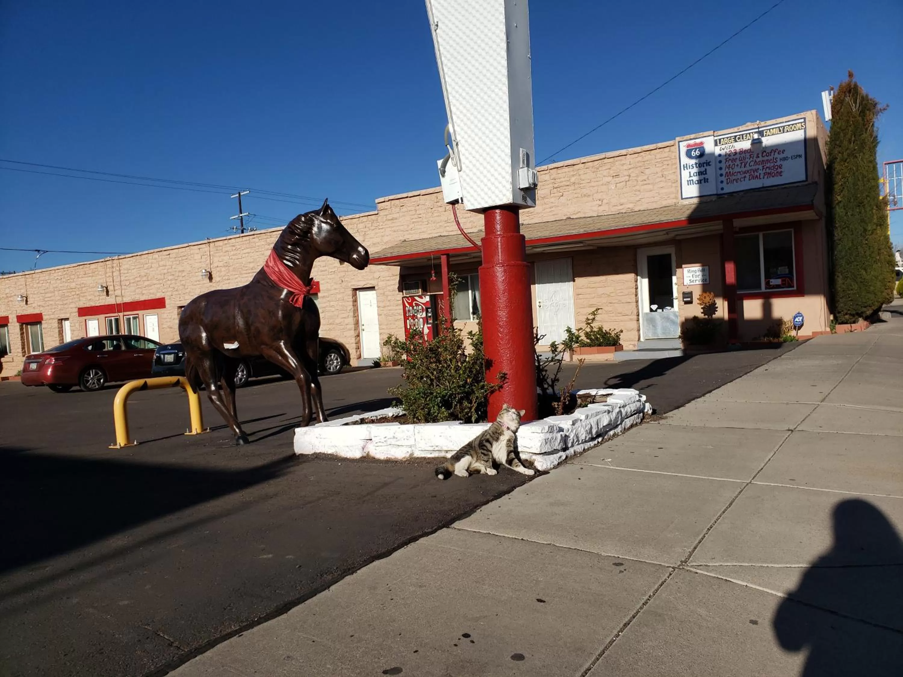 Animals in Deluxe Inn