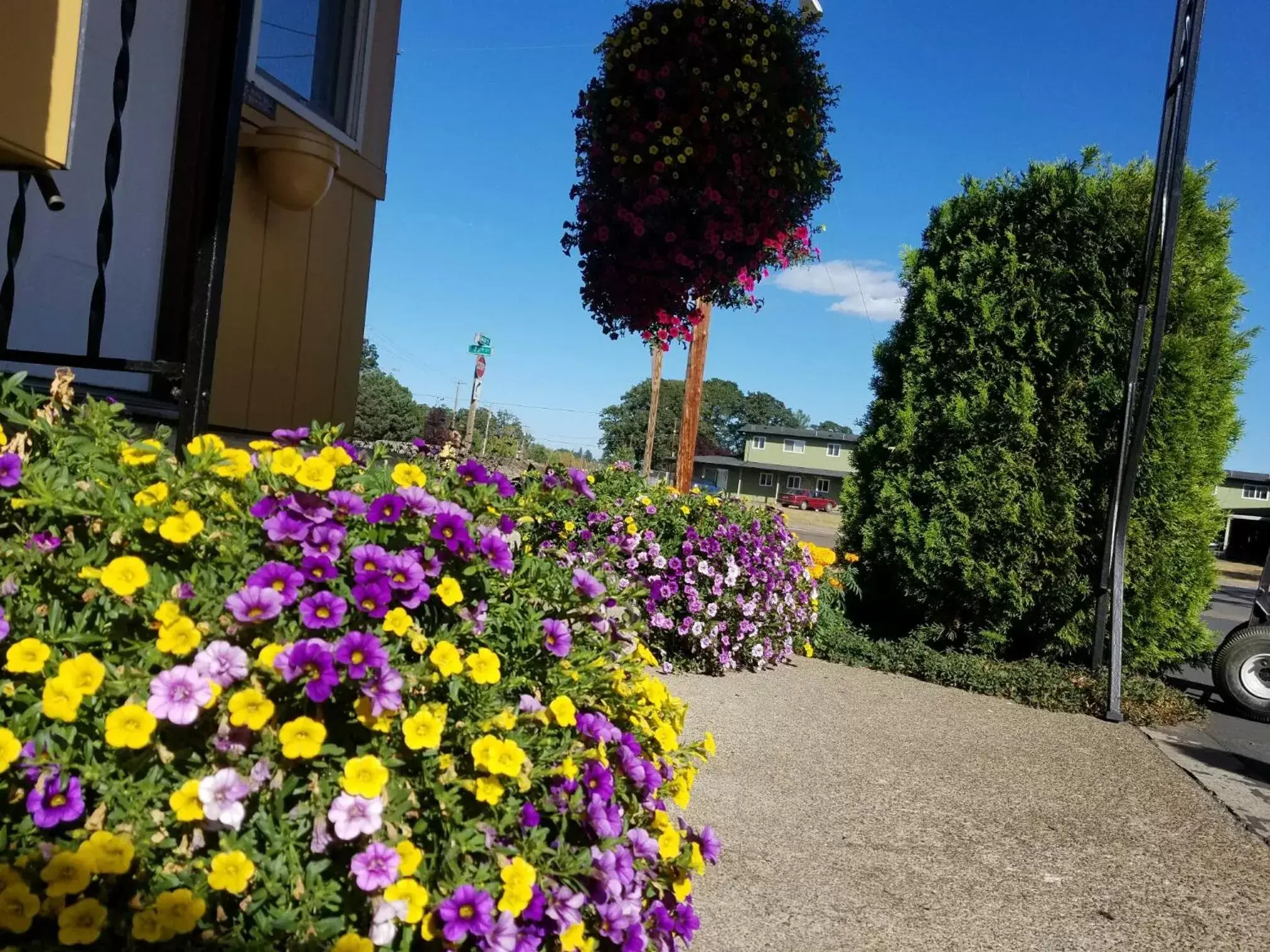 Day, Garden in Galaxie Motel