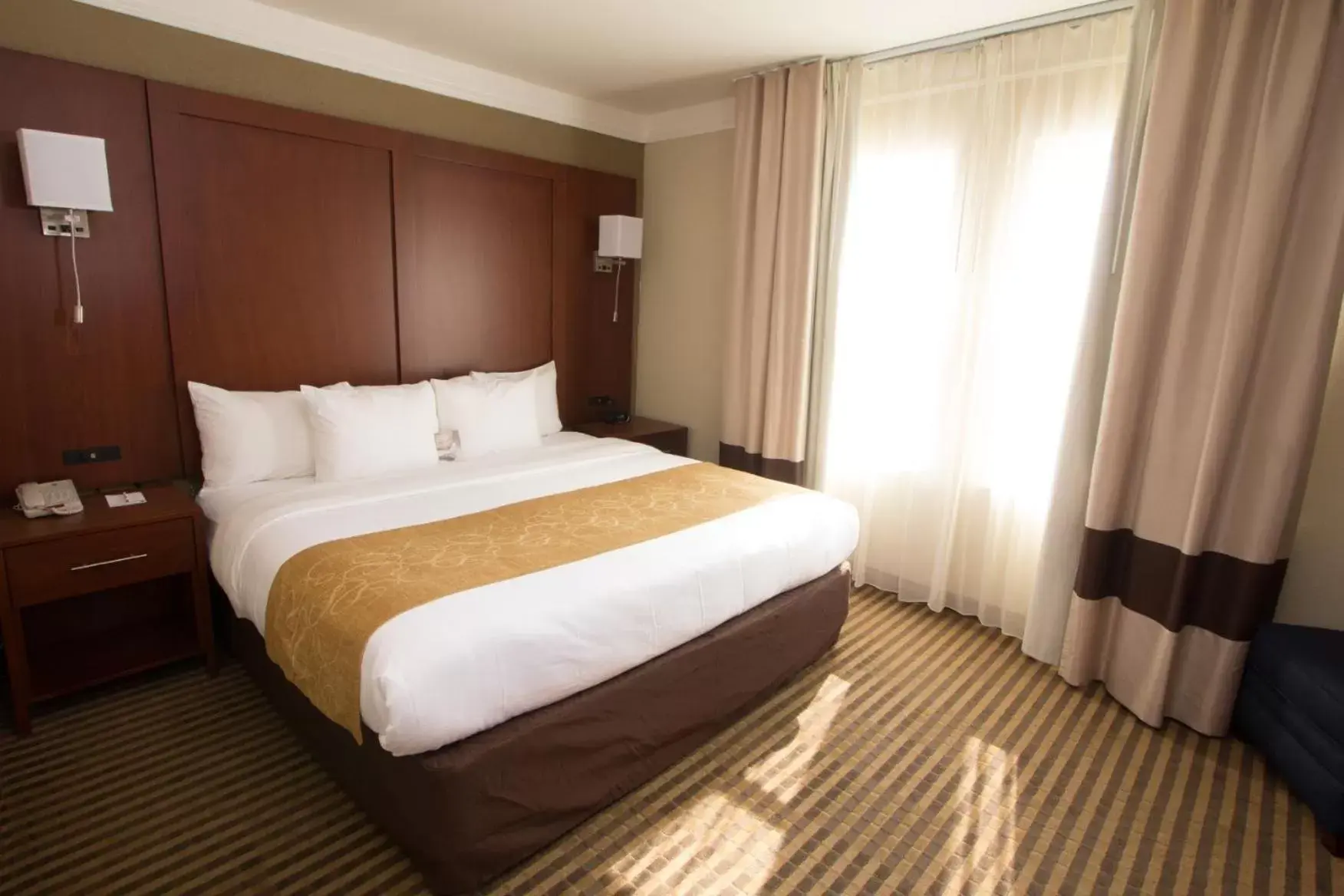 King Suite with Sofa Bed - Accessible/Non-Smoking in Comfort Suites Visalia Convention Center