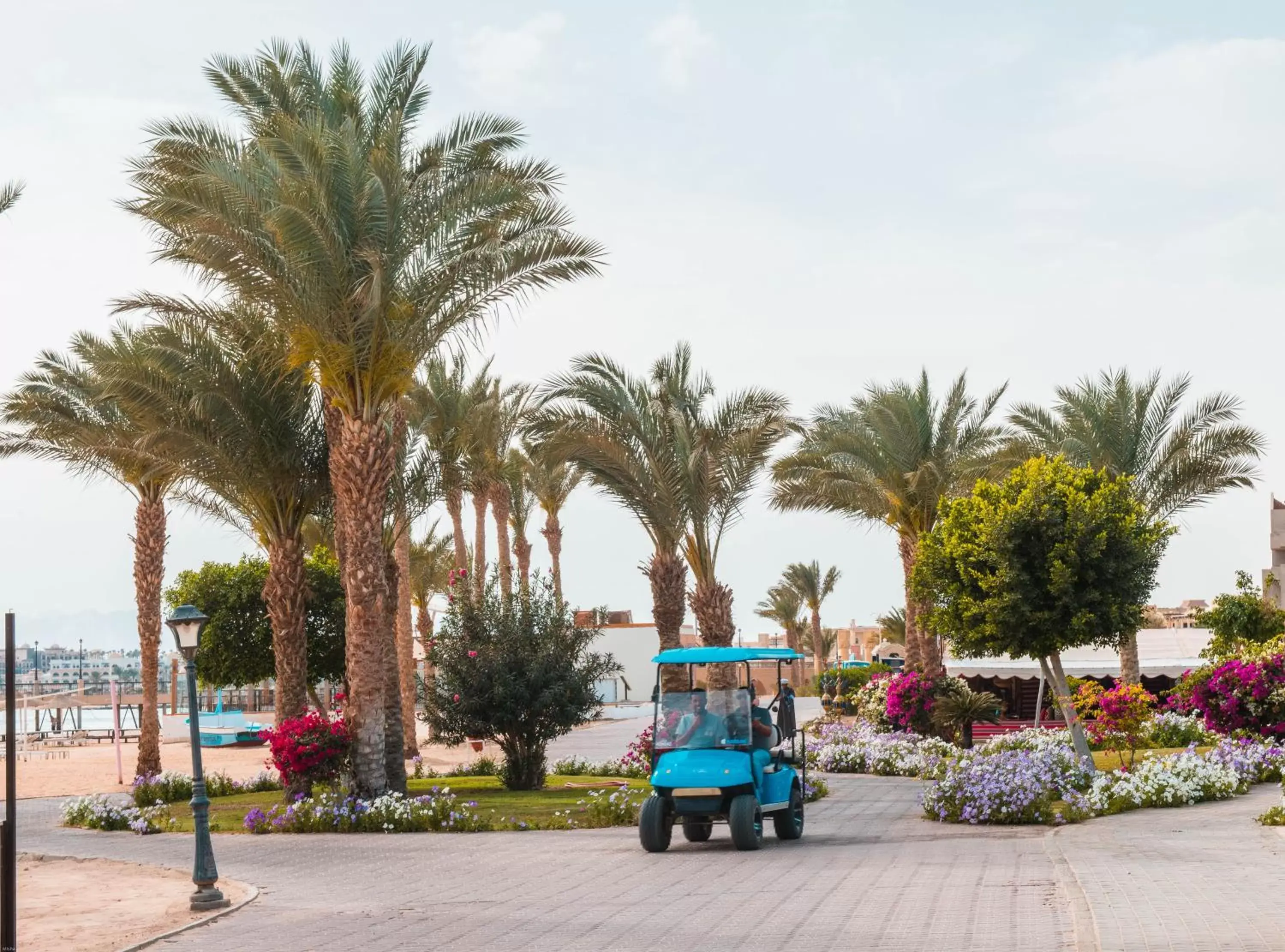 Garden in Pyramisa Beach Resort Sahl Hasheesh