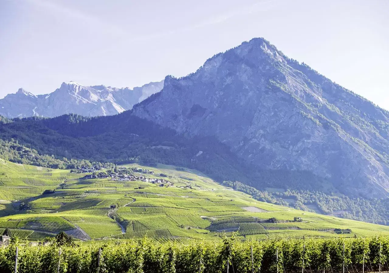 Mountain view in Hôtel des Bains de Saillon