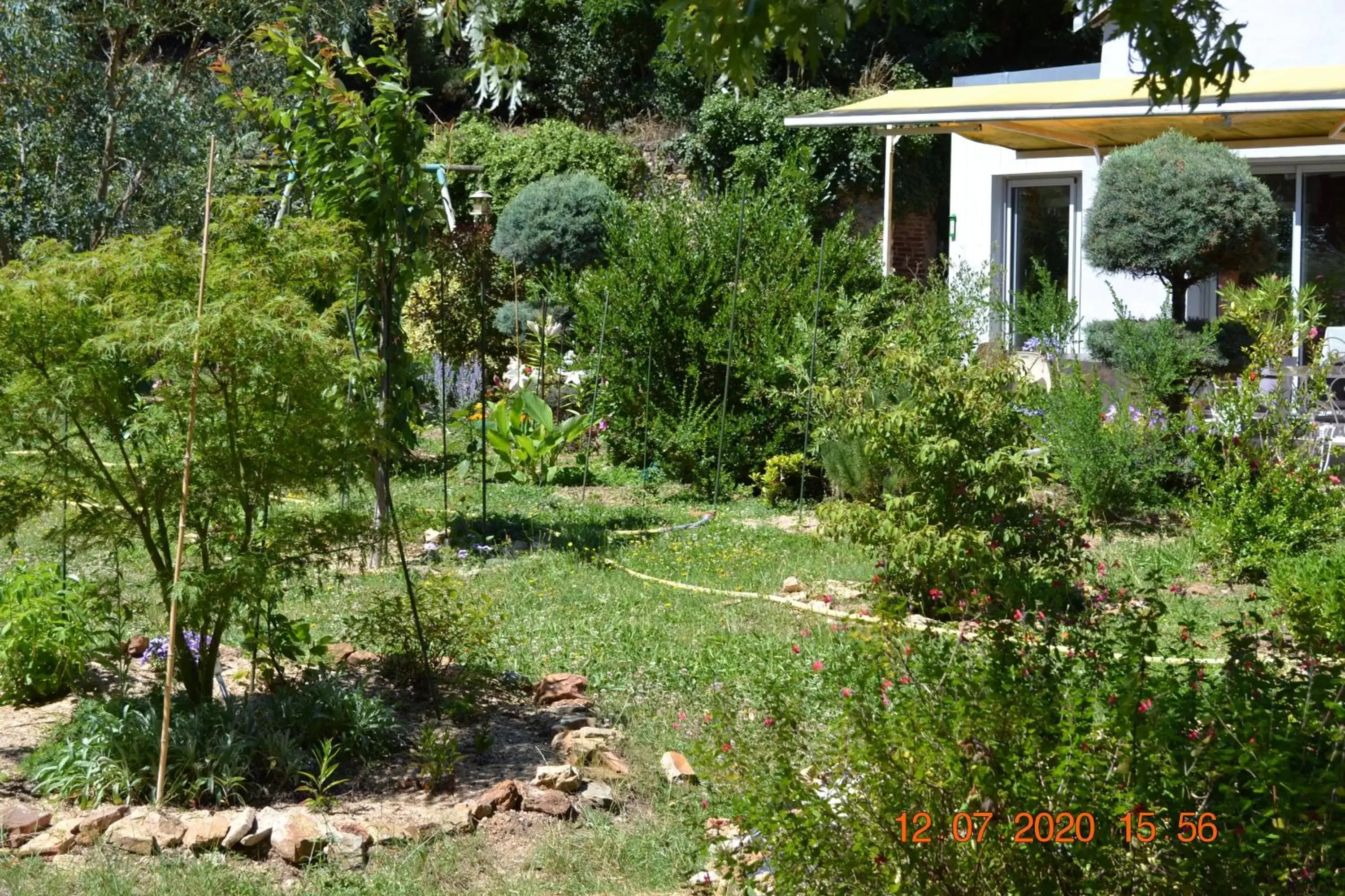 Garden in Hôtel Le Castel