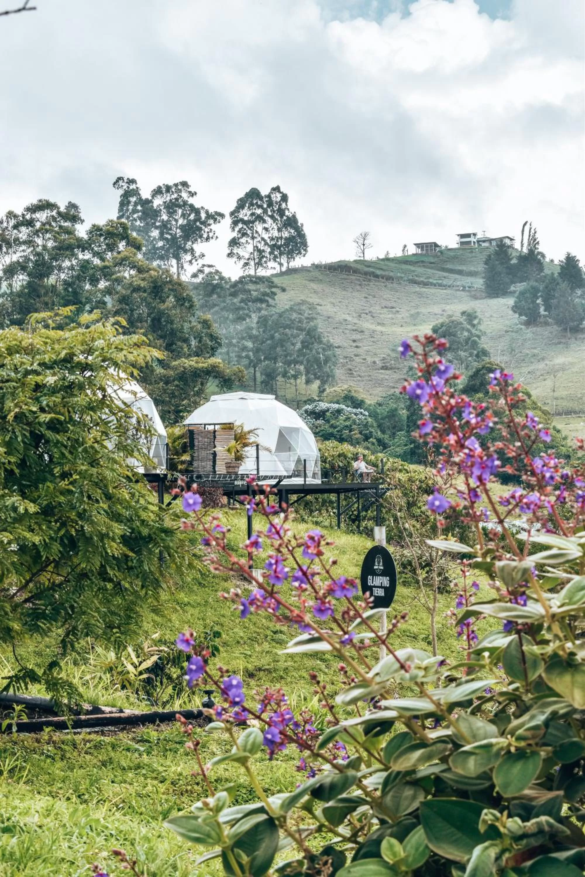 View (from property/room) in Ecohotel Monte Tierra Habitaciones y Glamping