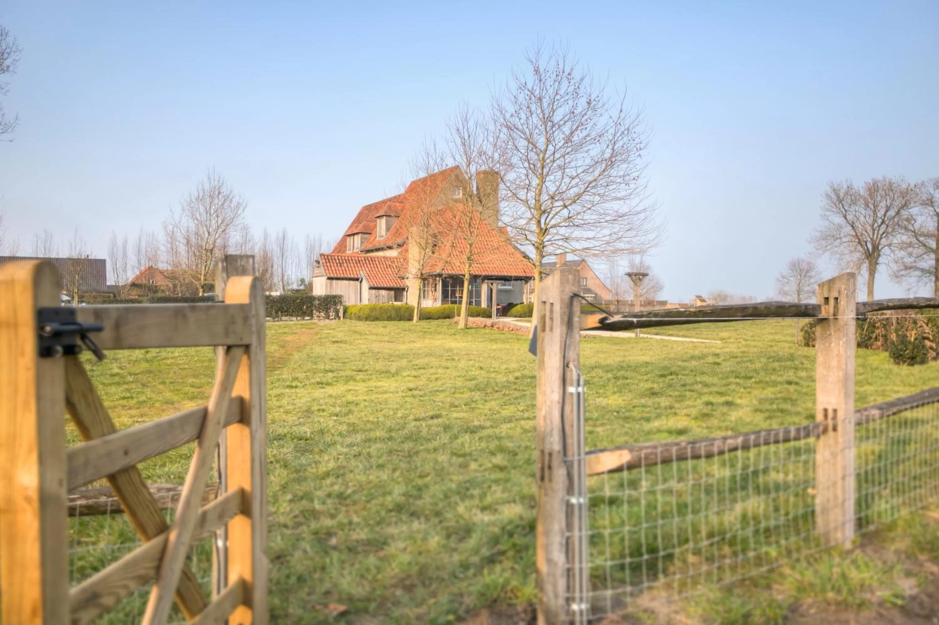 Garden in Logie Marie with hottub in the garden