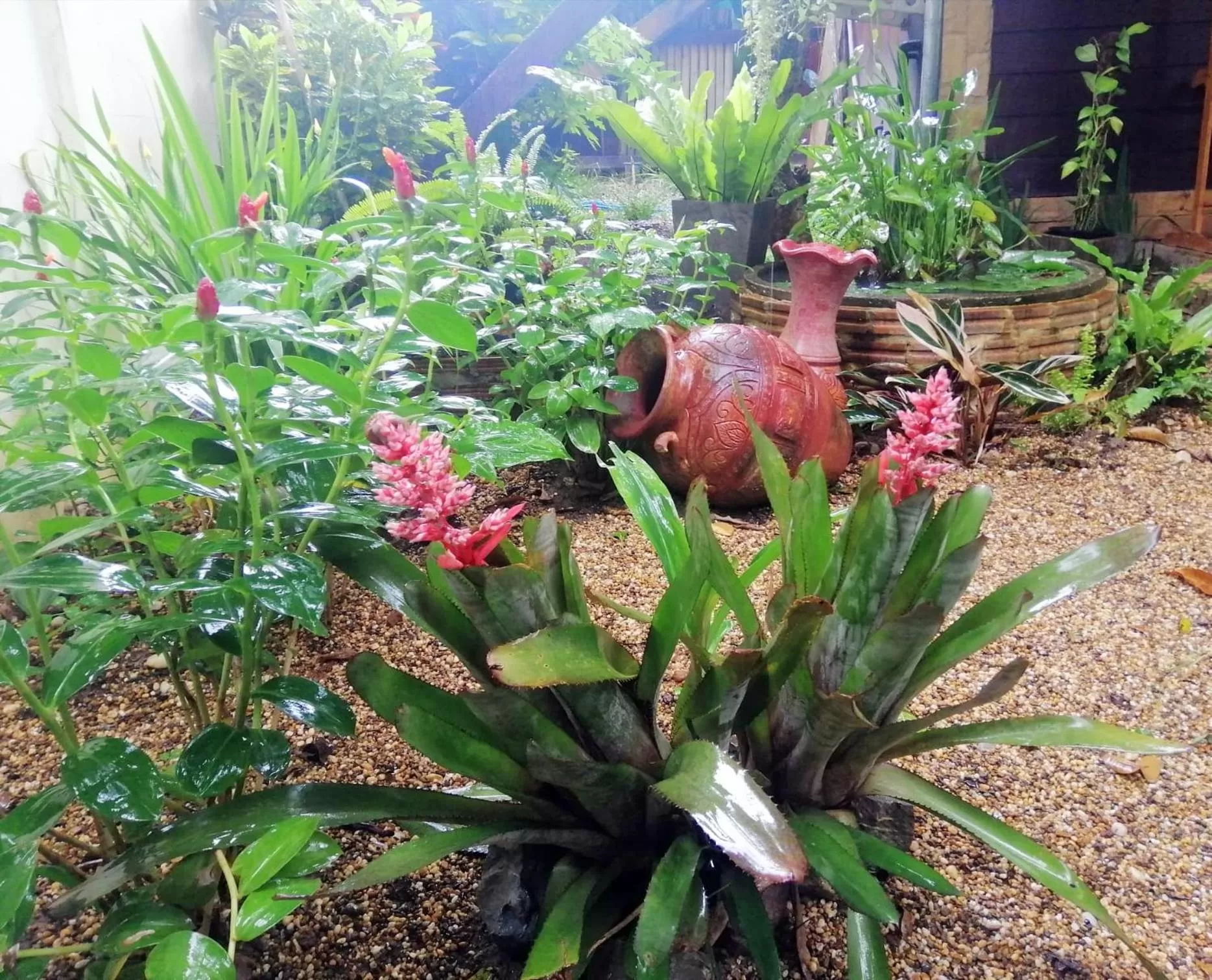 Garden in Homestay Chiangrai
