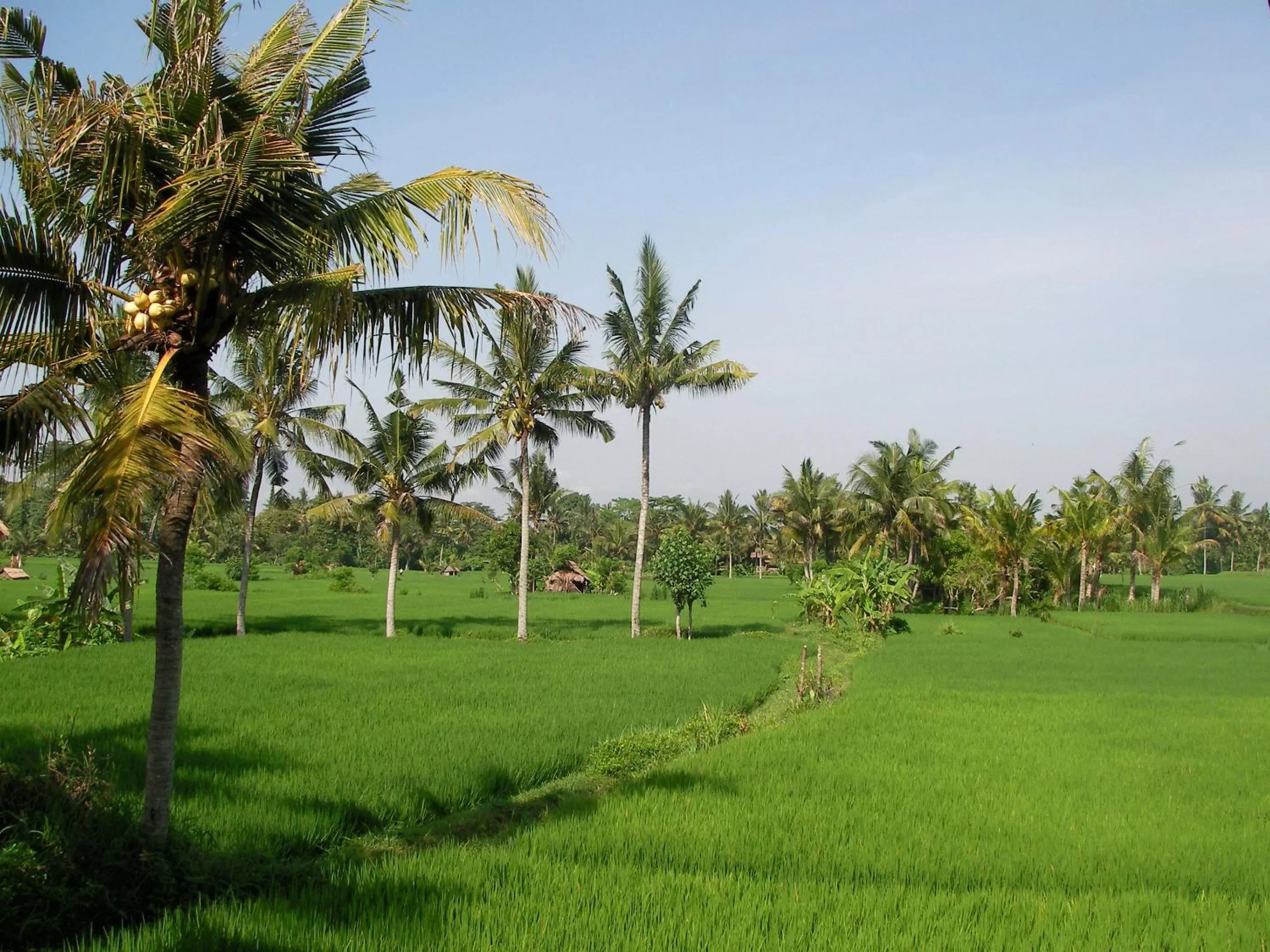 Bird's eye view in Green Field Hotel and Restaurant