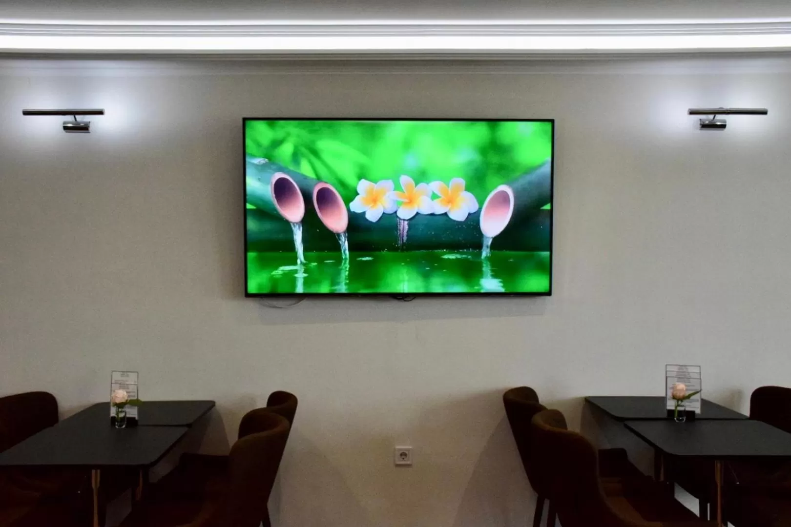 TV and multimedia in Hotel Lotus