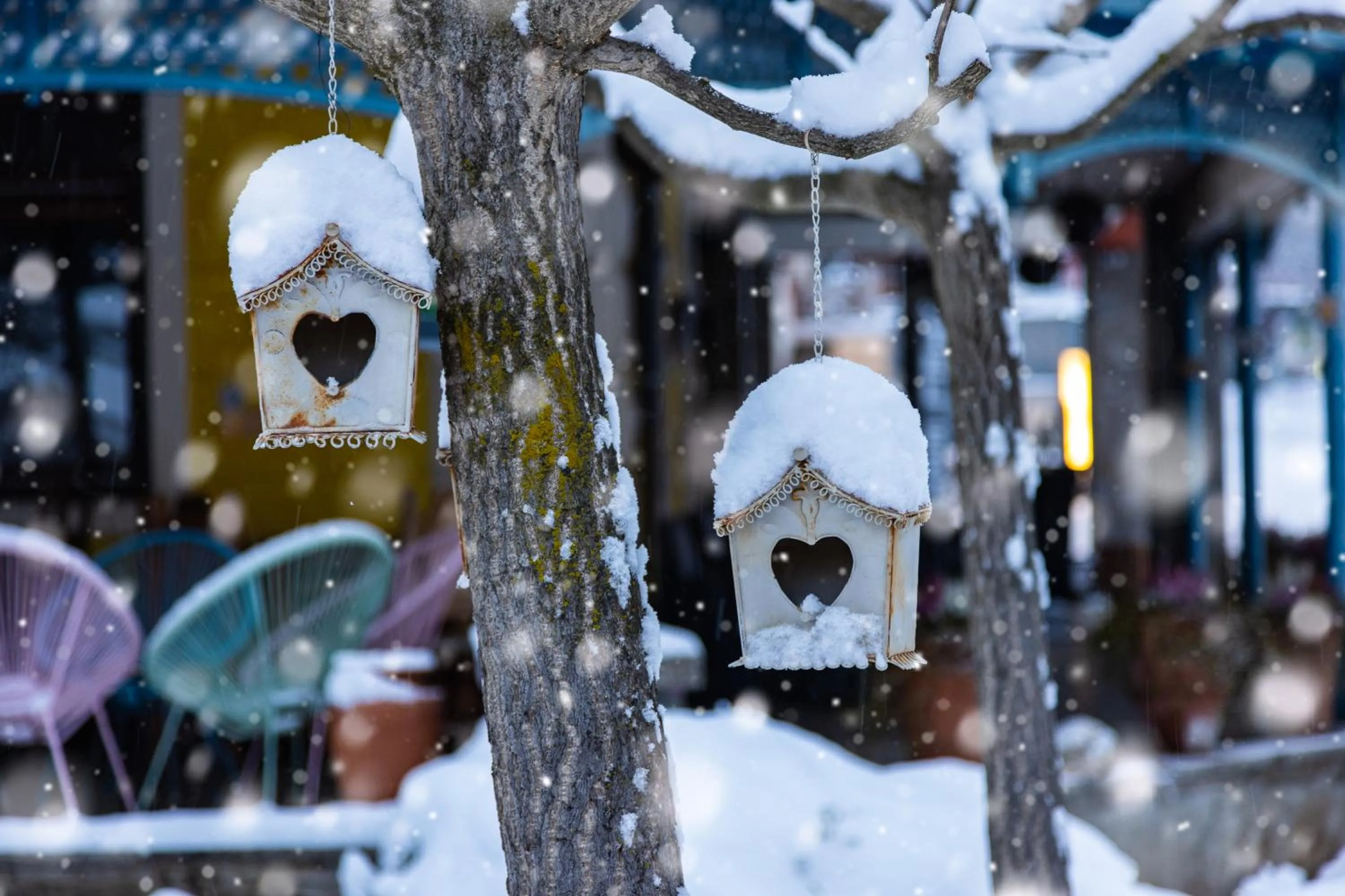 Winter in Hotel Ertl GmbH
