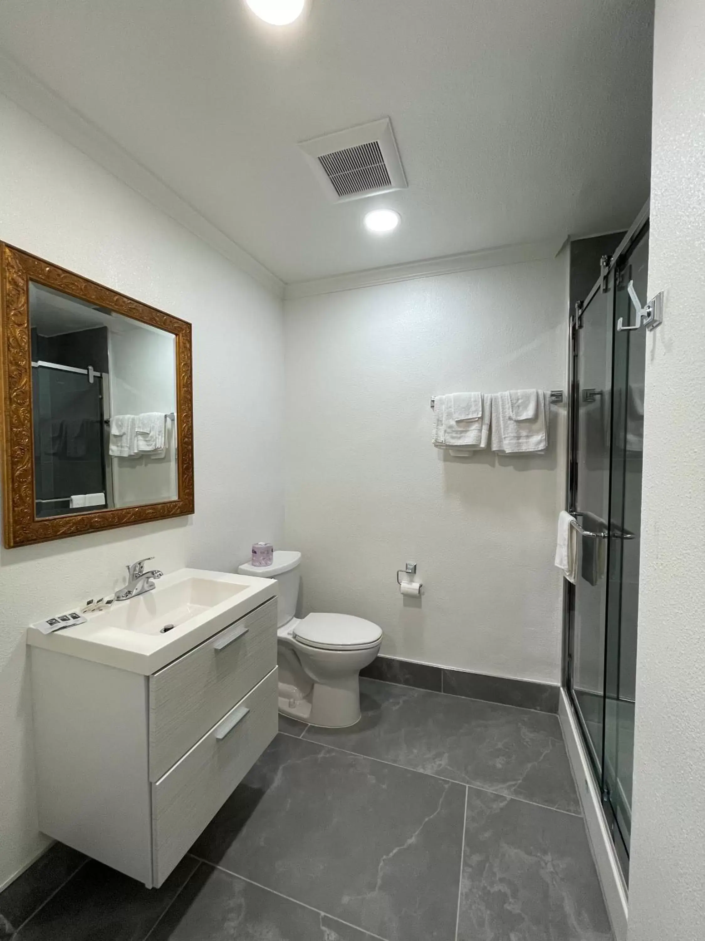 Shower, Bathroom in Ritz Inn-San Francisco Airport SFO