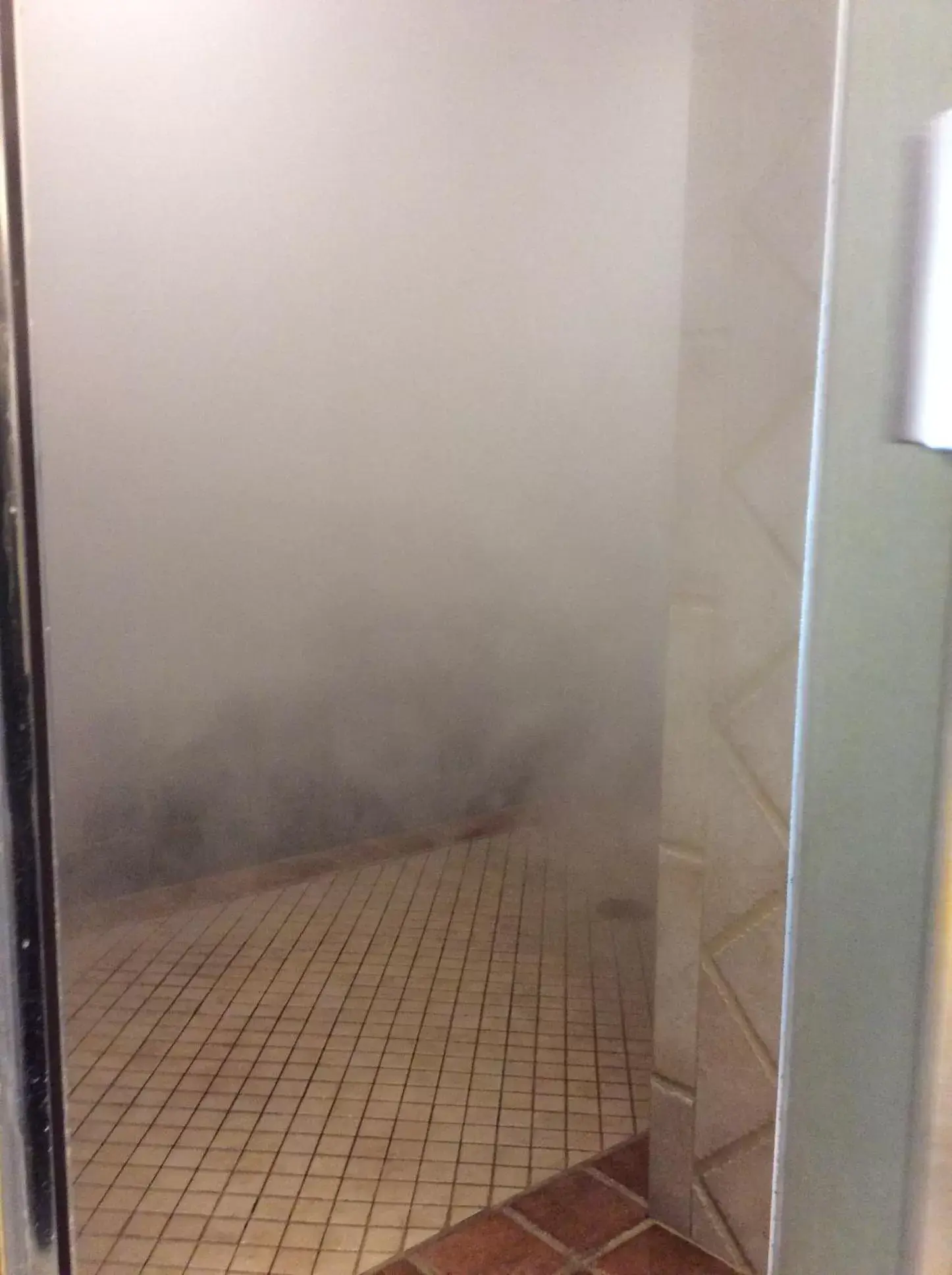 Steam room, Bathroom in Senator Inn & Spa