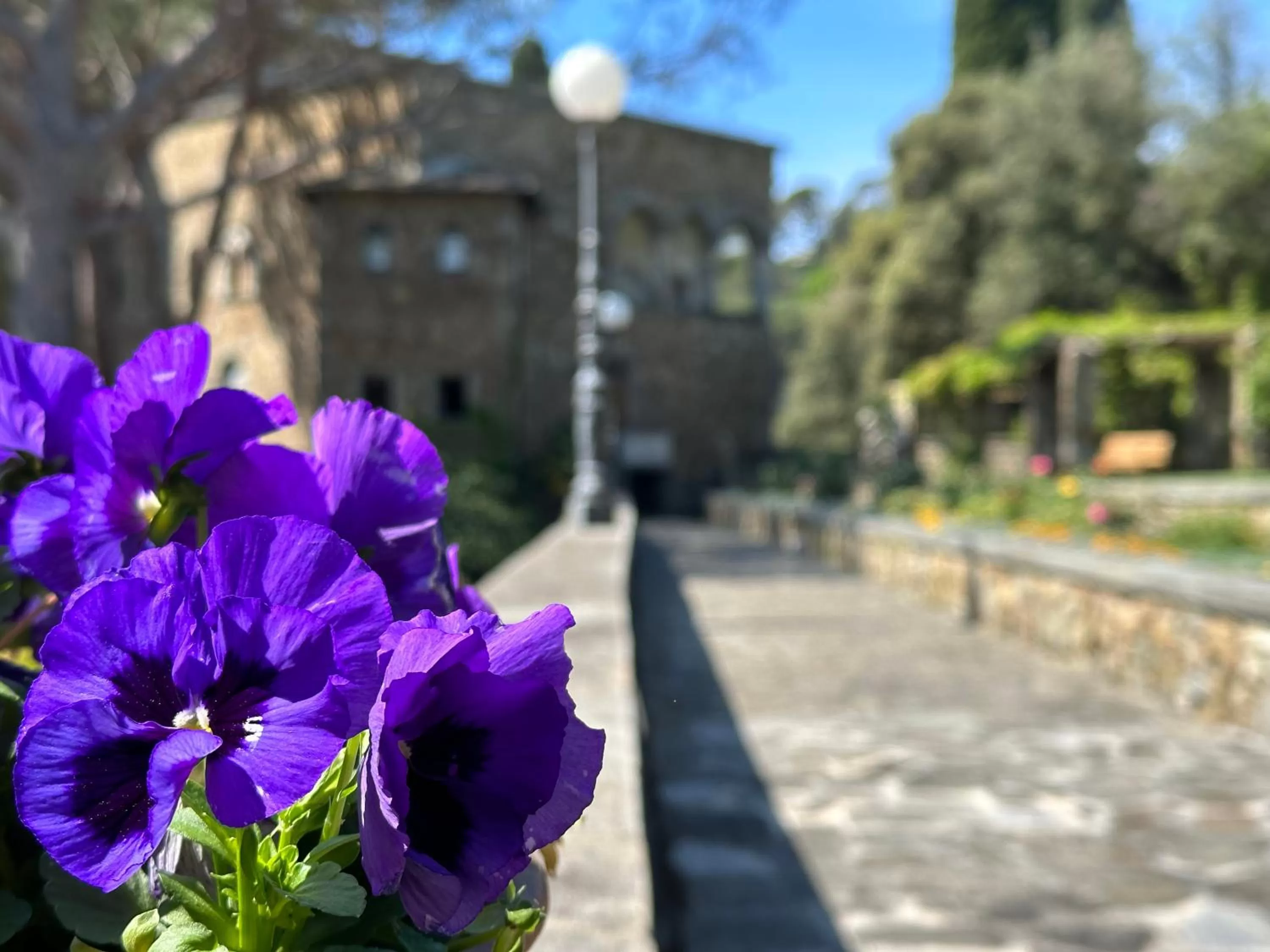 Garden in Grand Hotel Dei Castelli