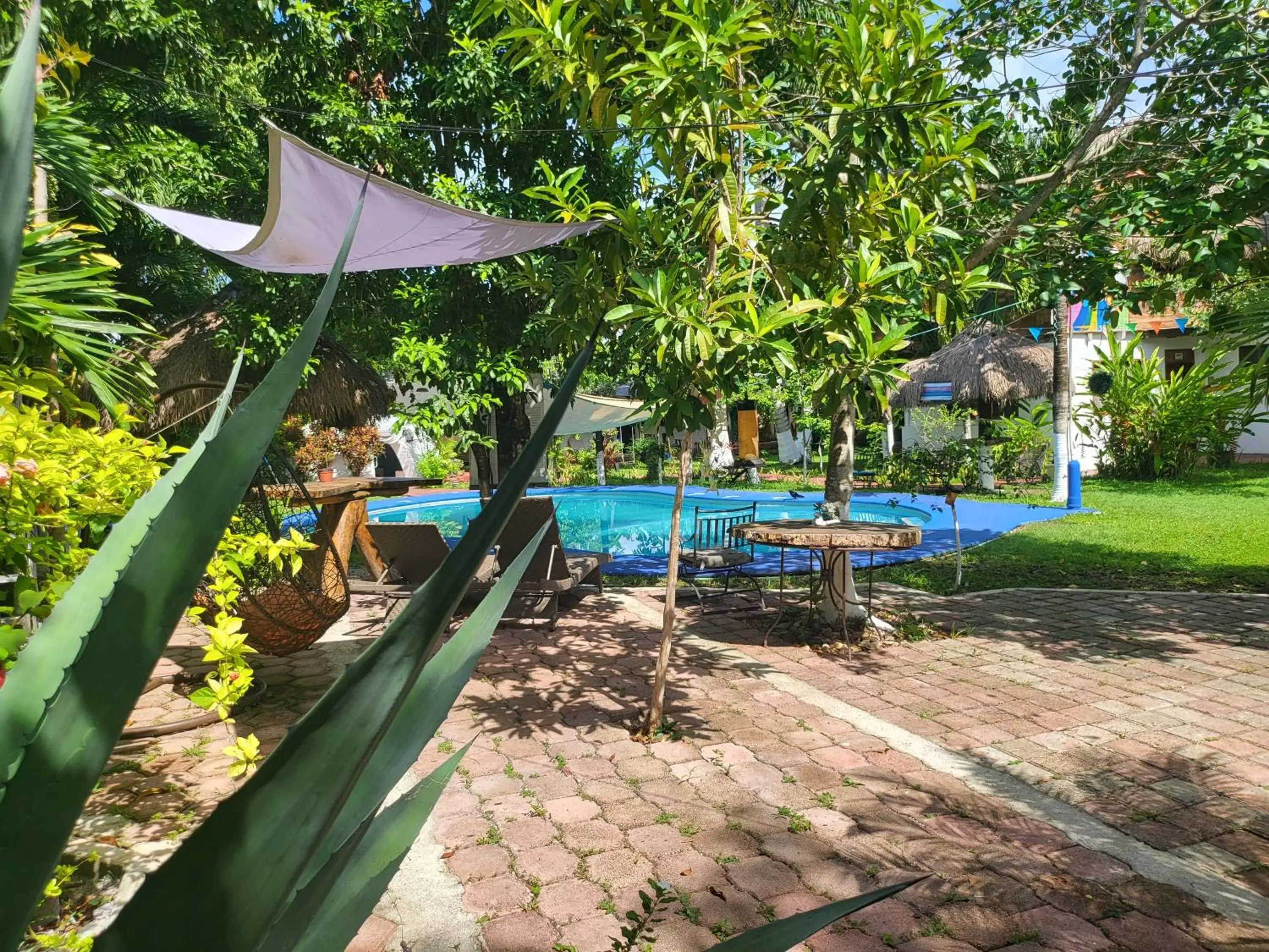 Swimming Pool in Cabañas Colibrí