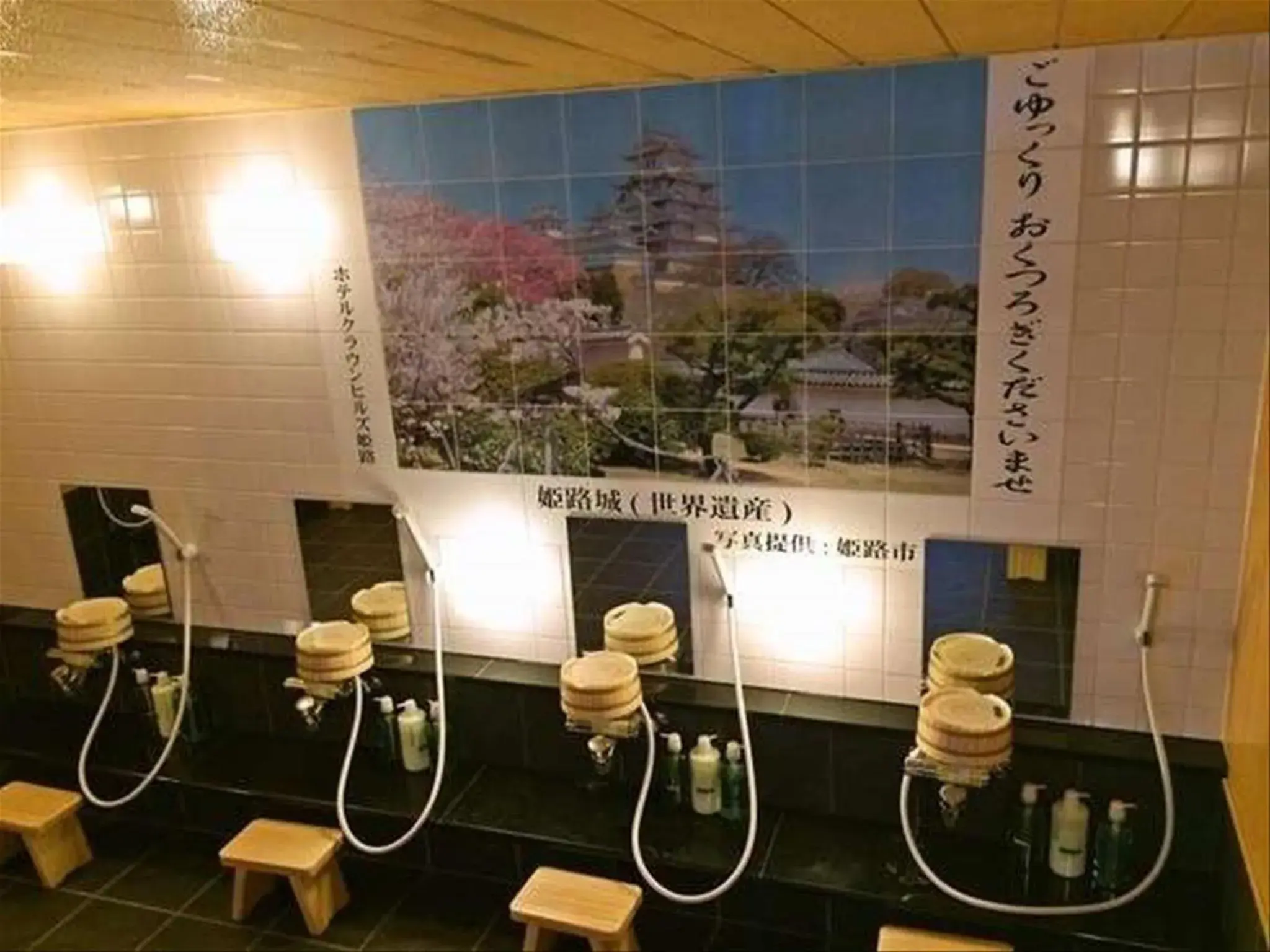 Public Bath in Hotel Crown Hills Himeji