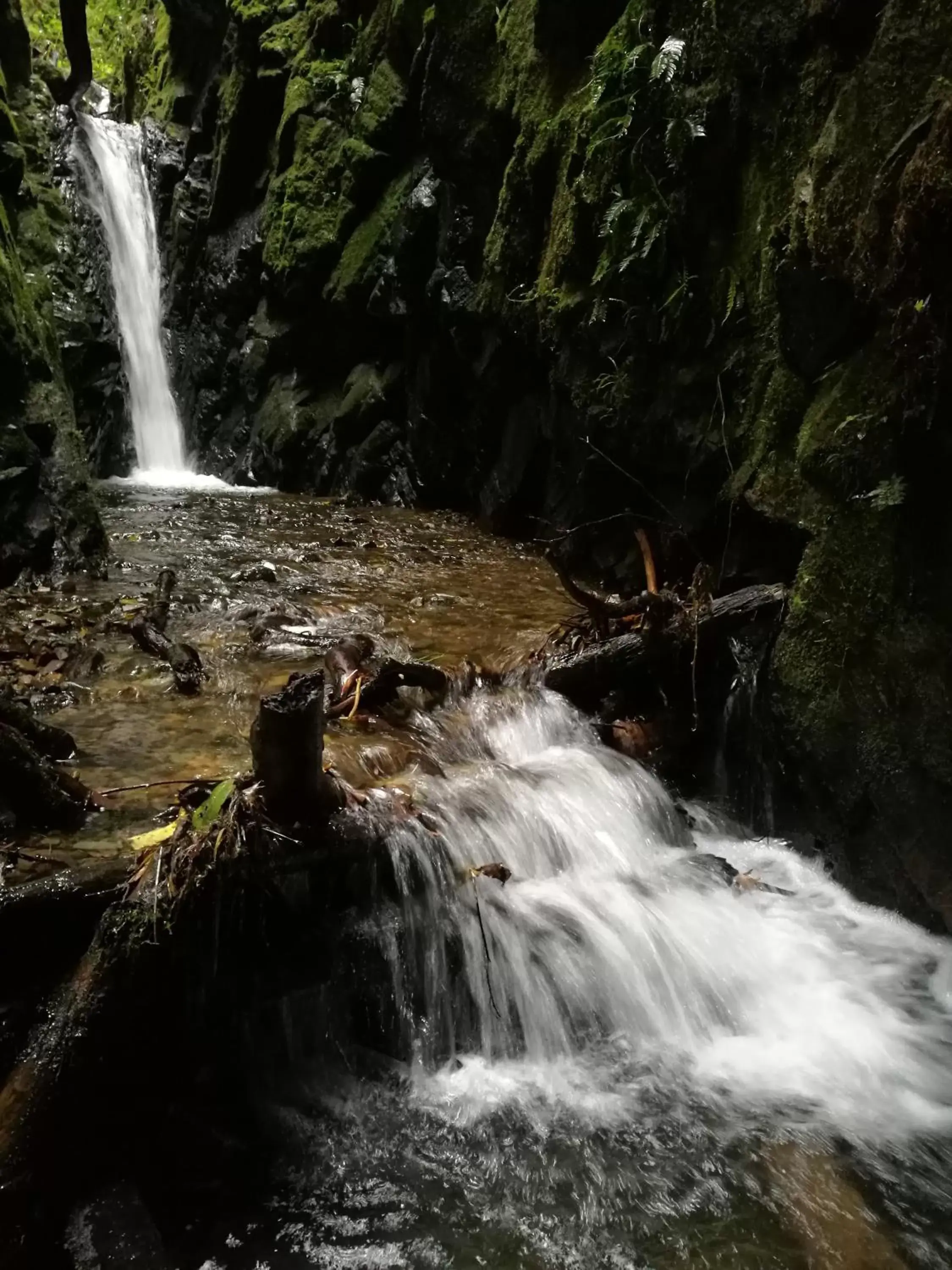 Natural Landscape in Iyok Ami (Madre Tierra)