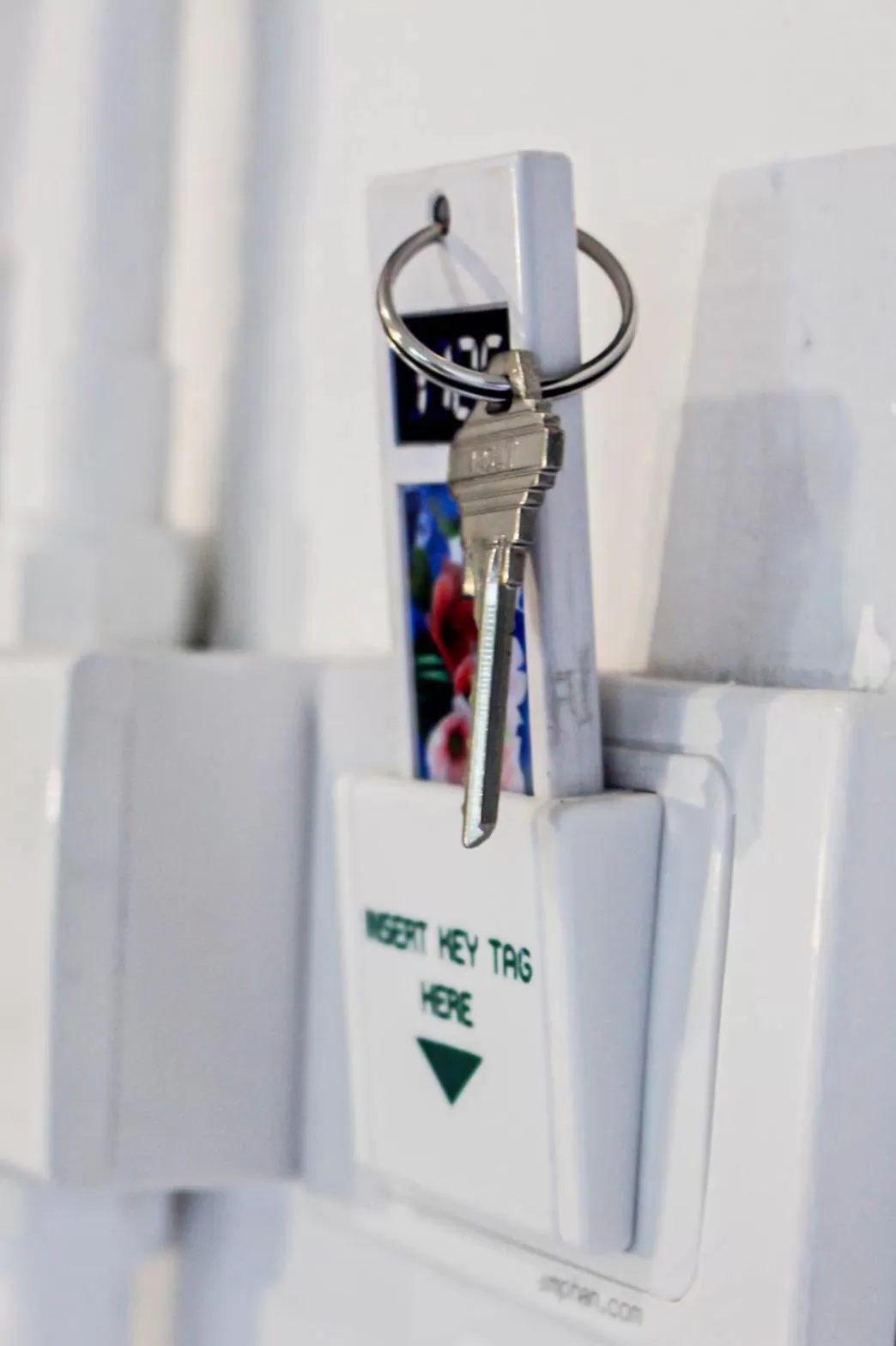 Logo/Certificate/Sign in Vlodge House