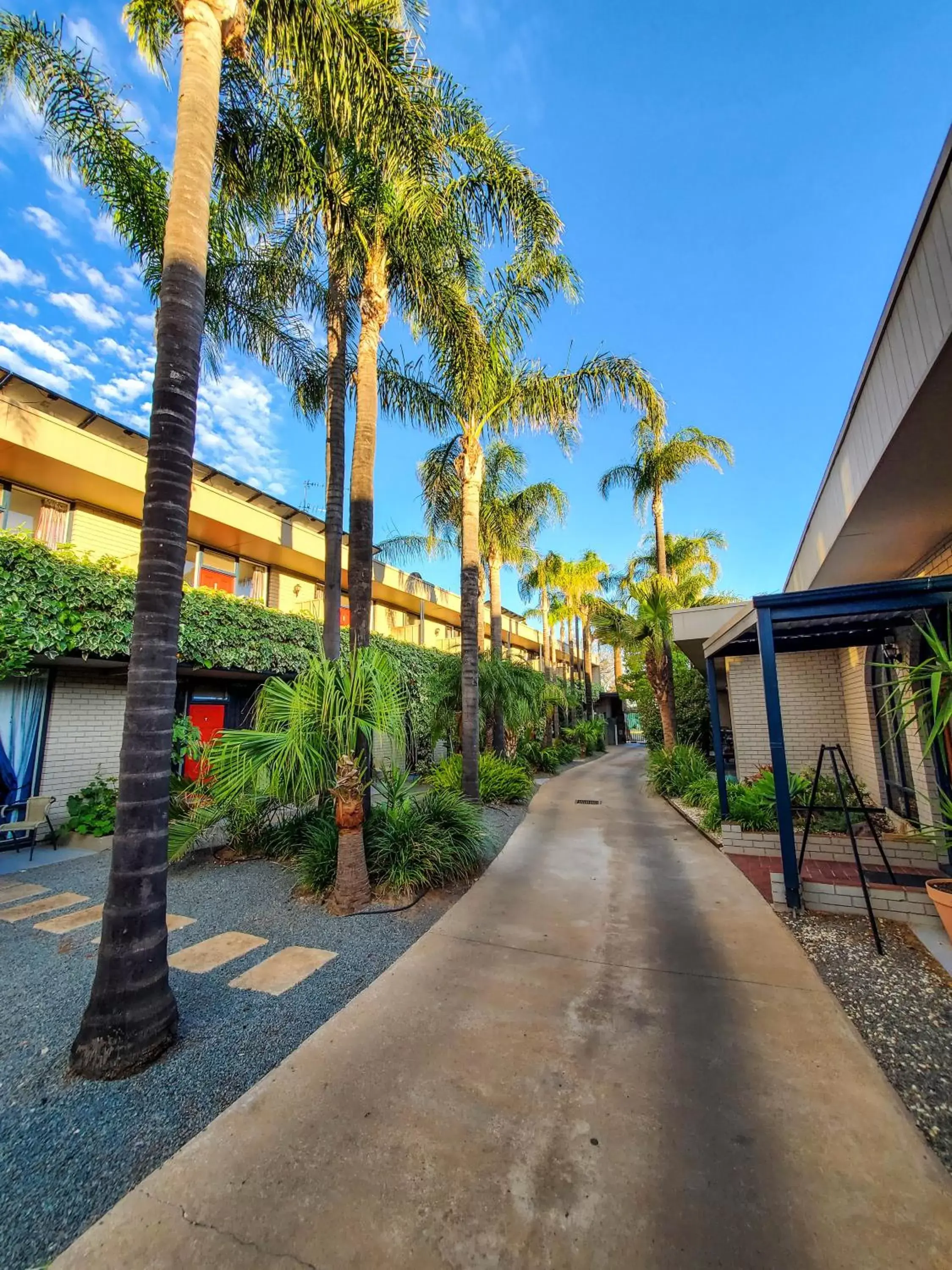 Garden, Property Building in Sandors Motor Inn