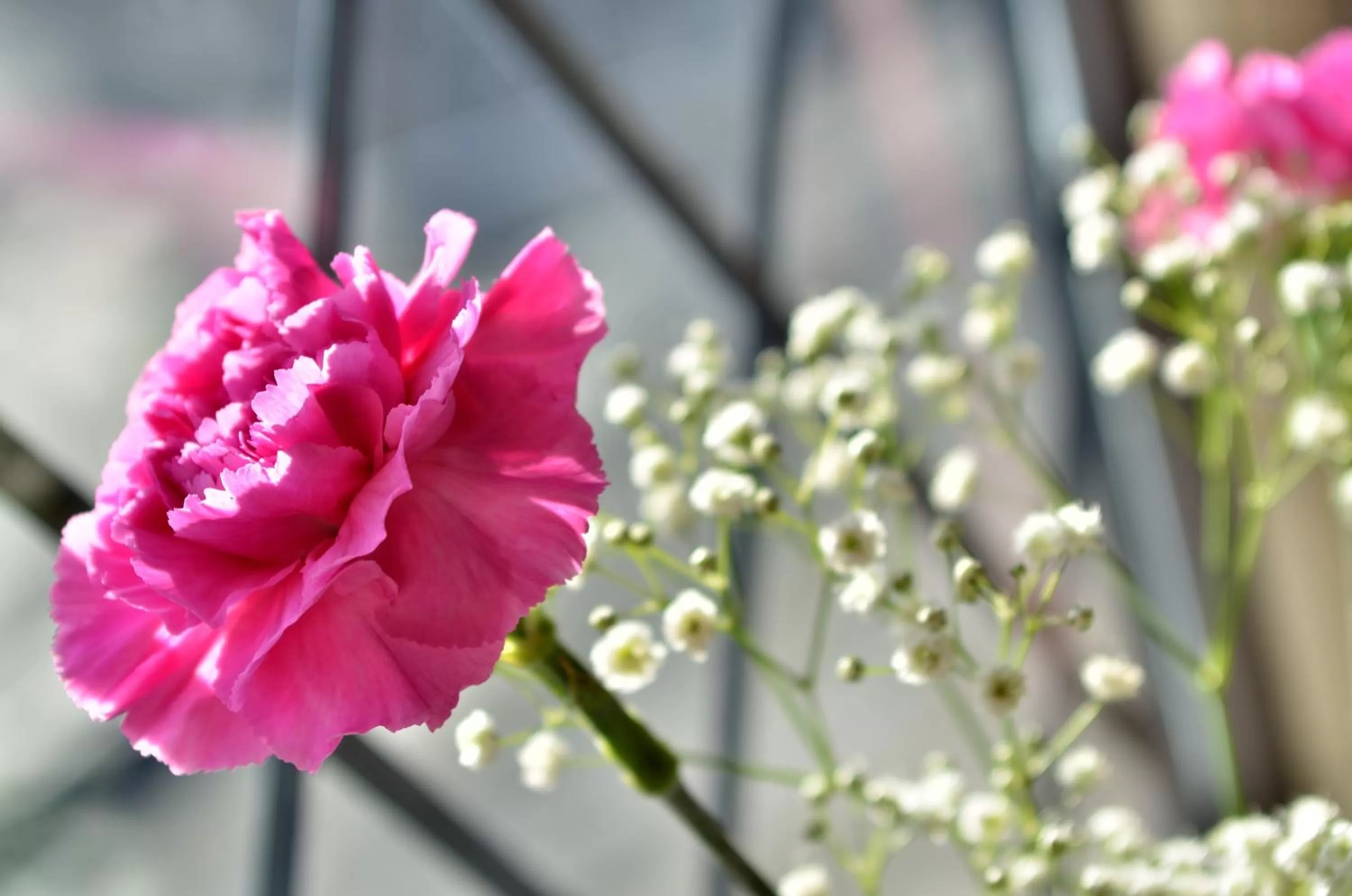 Decorative detail in Damson Dene Hotel