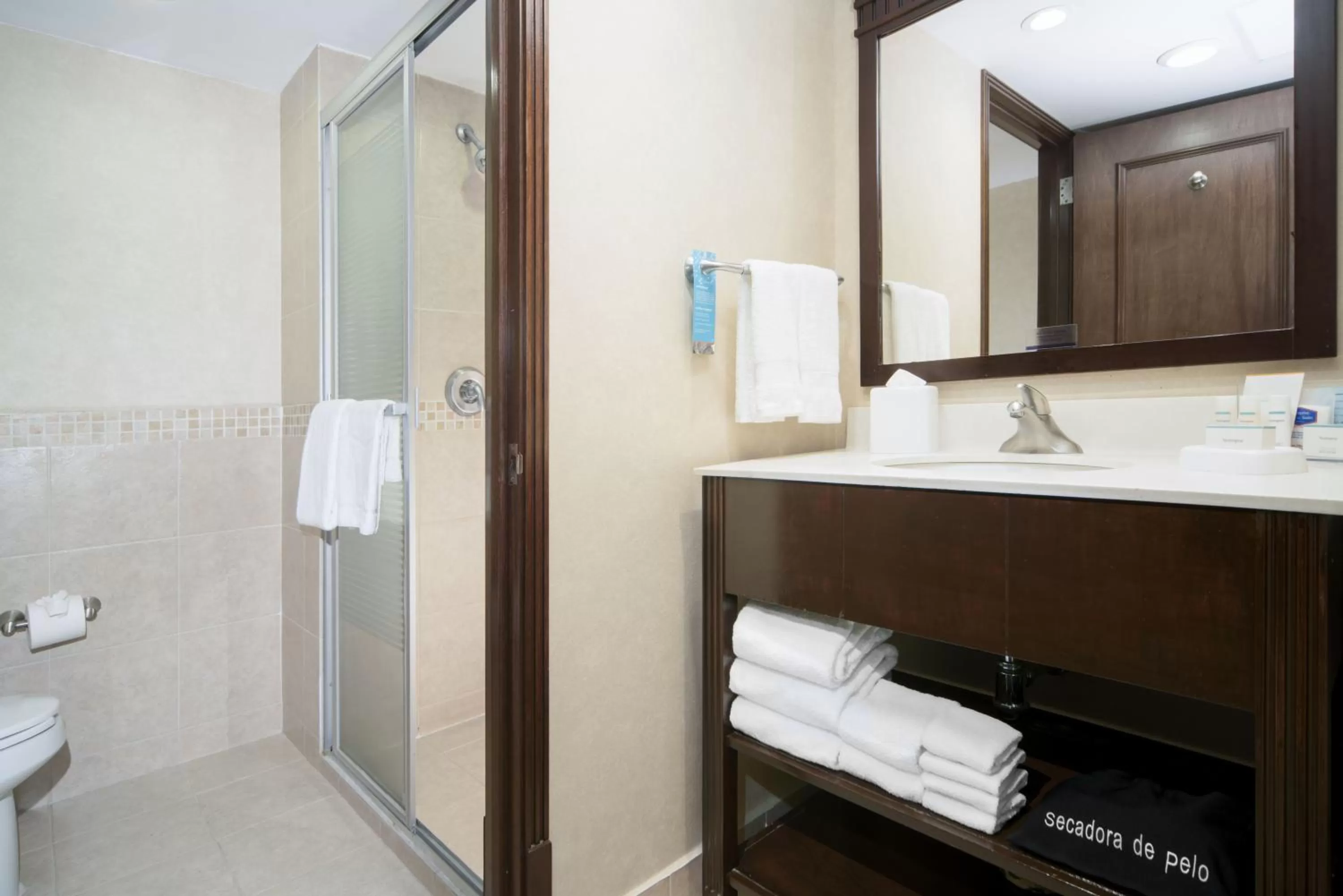 Bathroom in Hampton Inn & Suites Mexico City - Centro Historico
