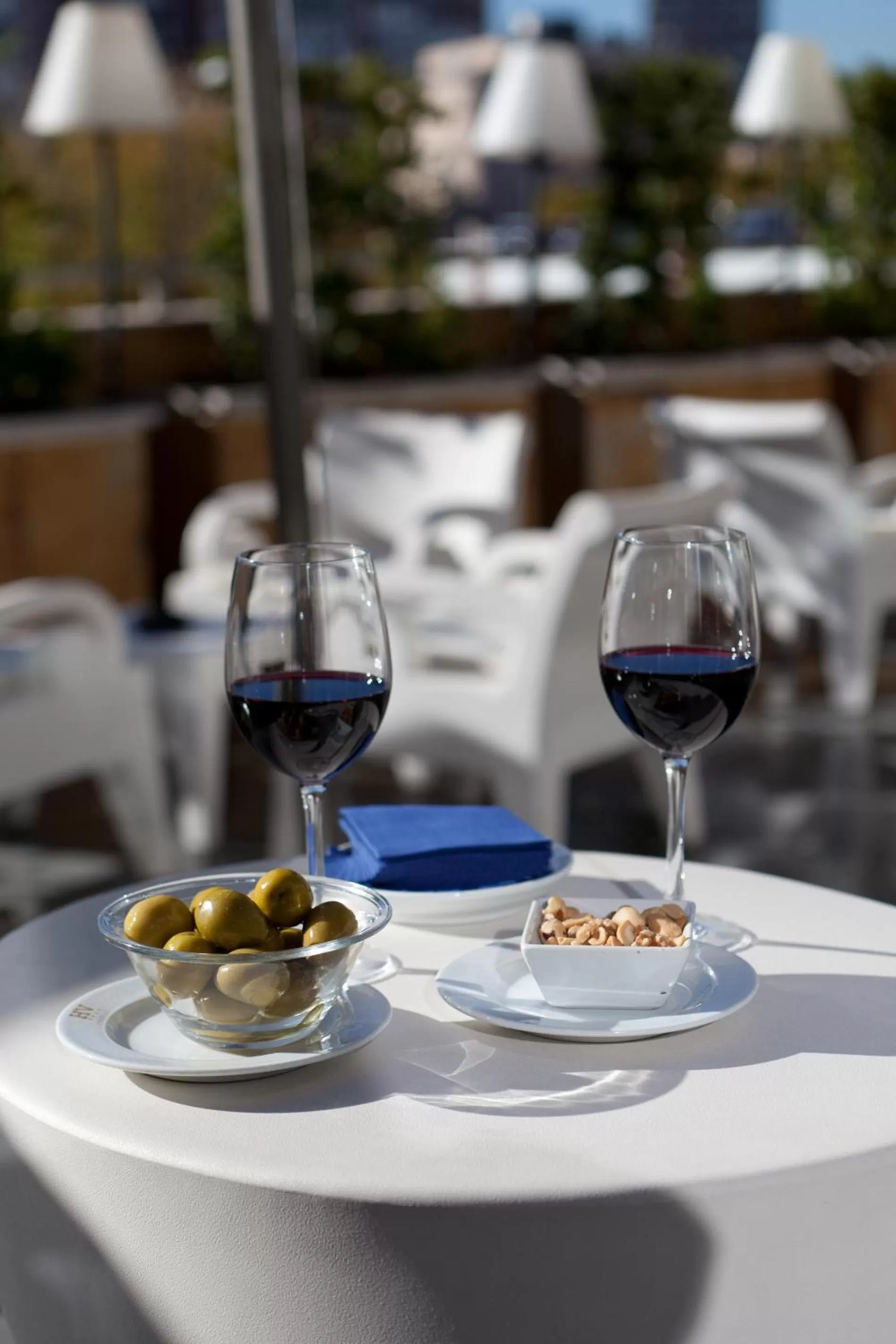 Day in Hotel Villamadrid