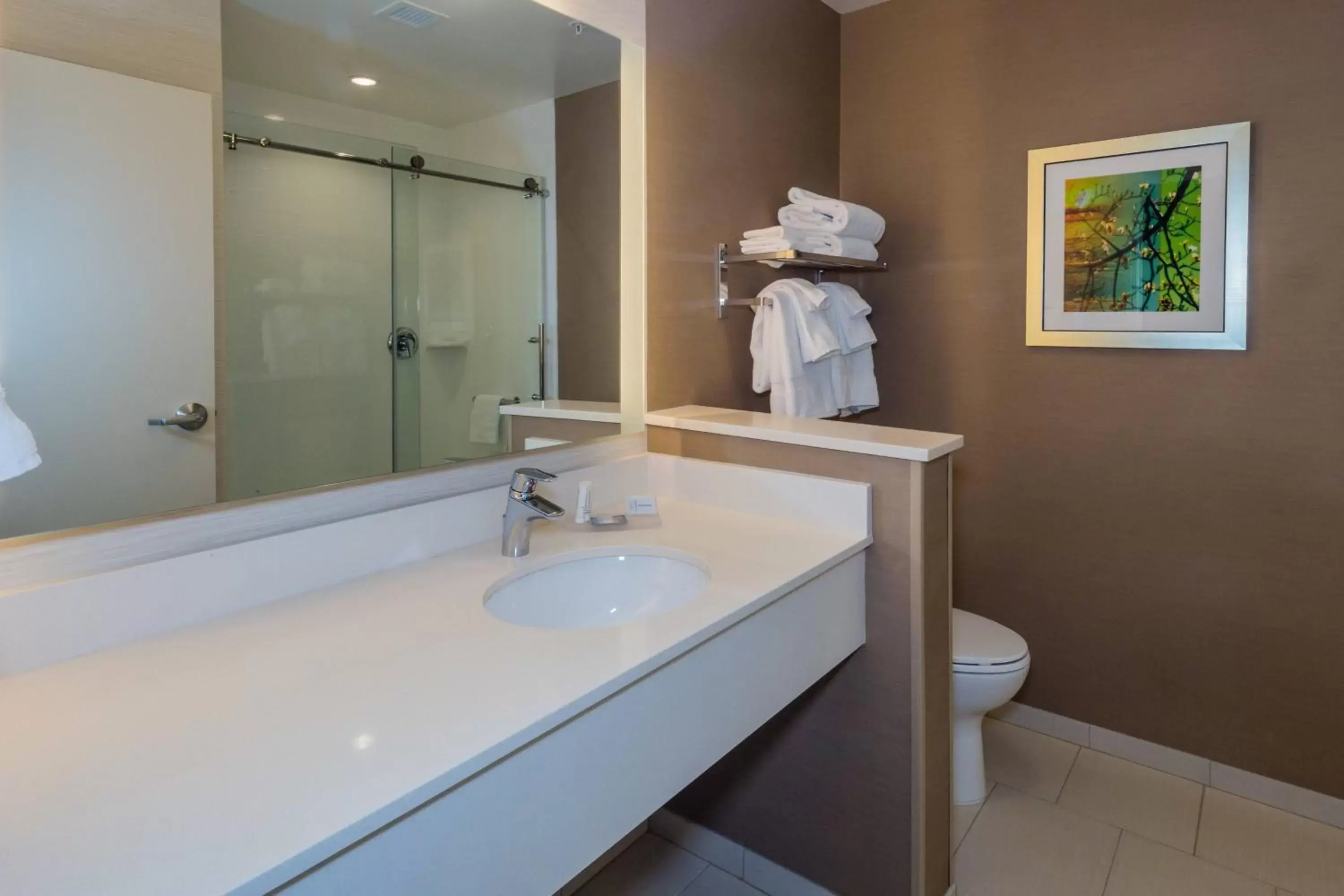 Bathroom in Fairfield Inn & Suites by Marriott Chillicothe