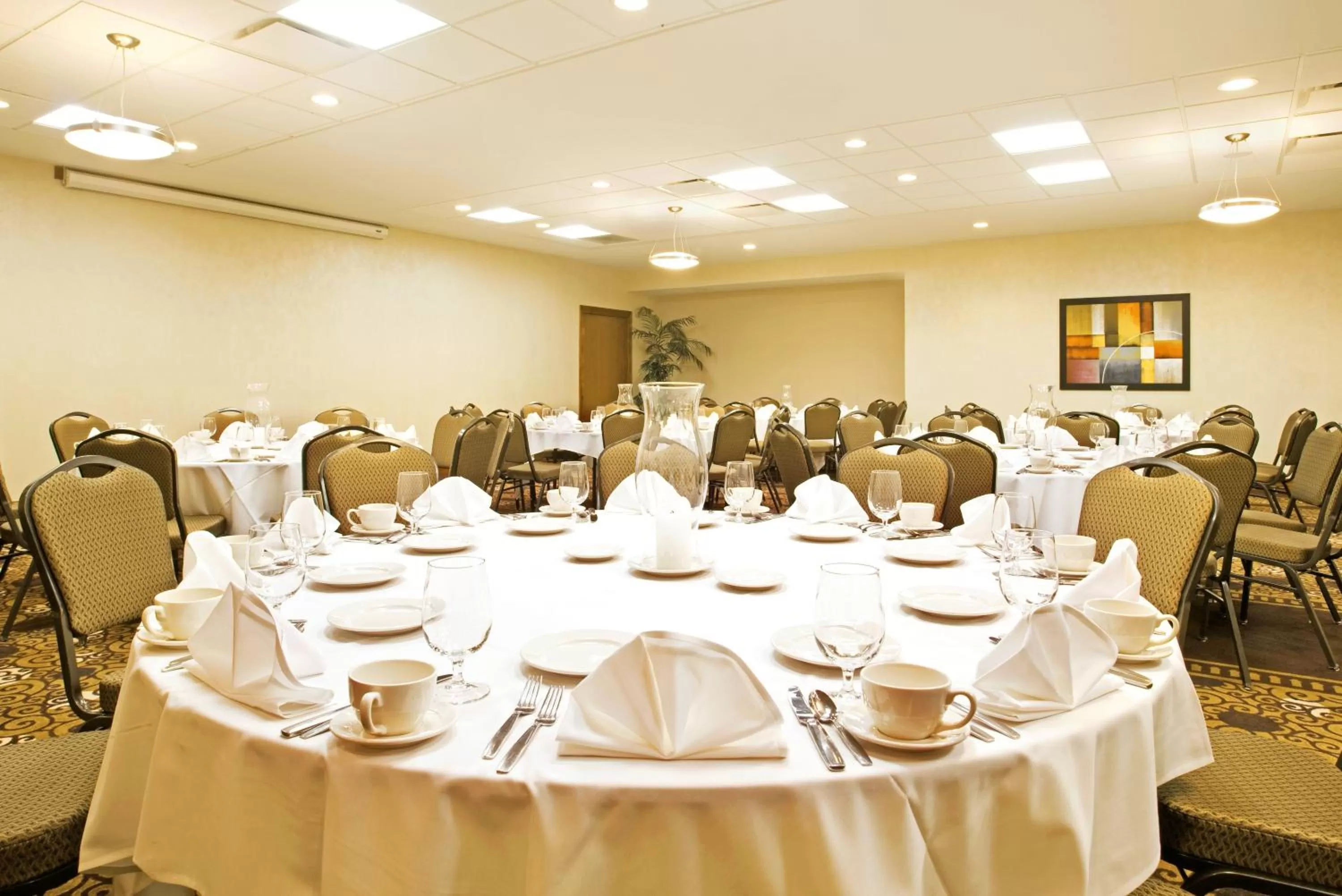 Banquet/Function facilities in Holiday Inn Battle Creek by IHG