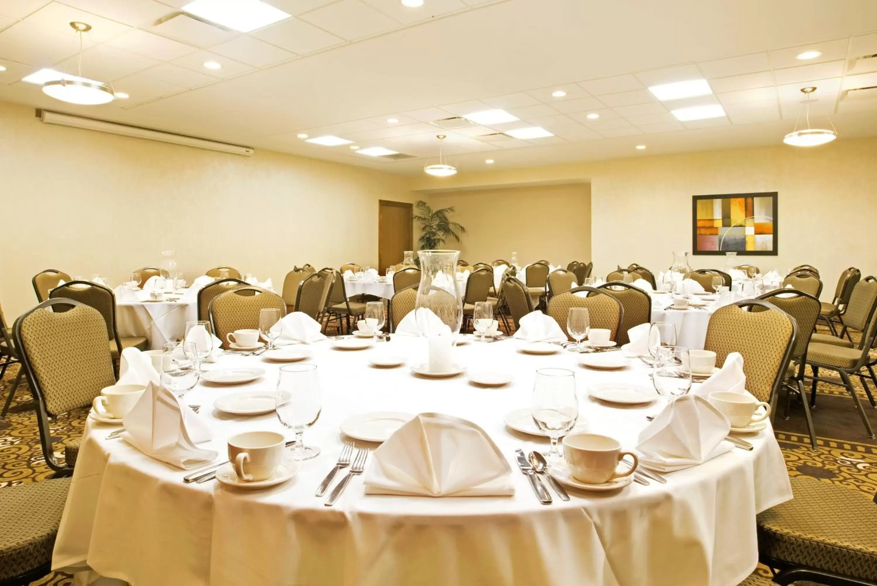 Banquet/Function facilities, Banquet Facilities in Holiday Inn Battle Creek, an IHG Hotel