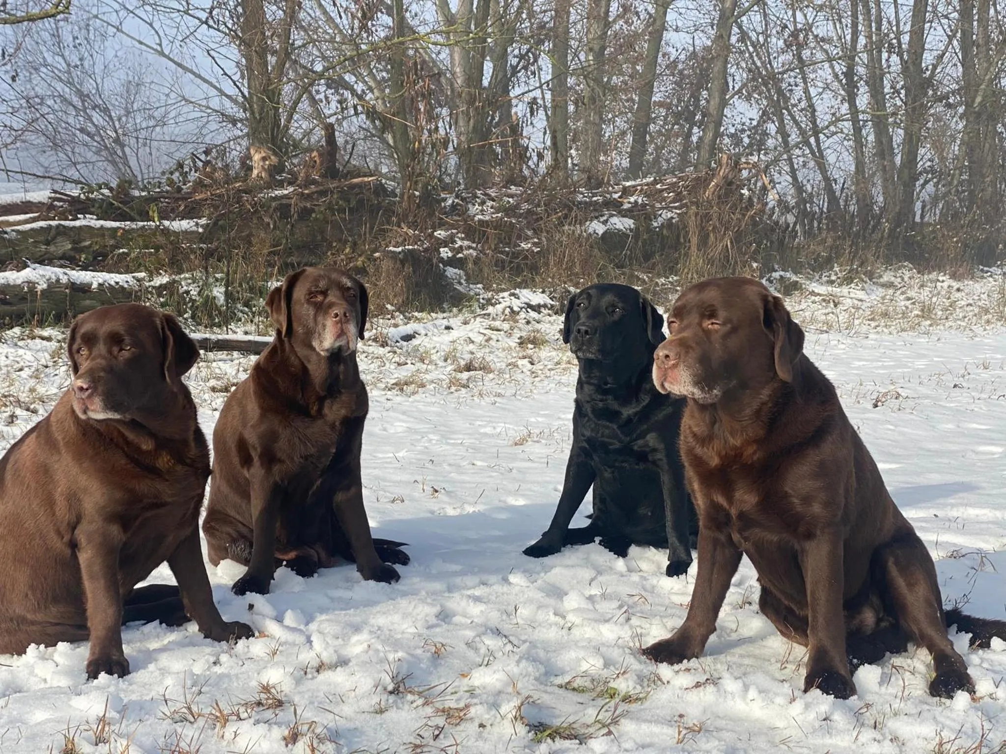 Restaurant/places to eat in Hotel Cinzia Ristorante Christian e Manuel