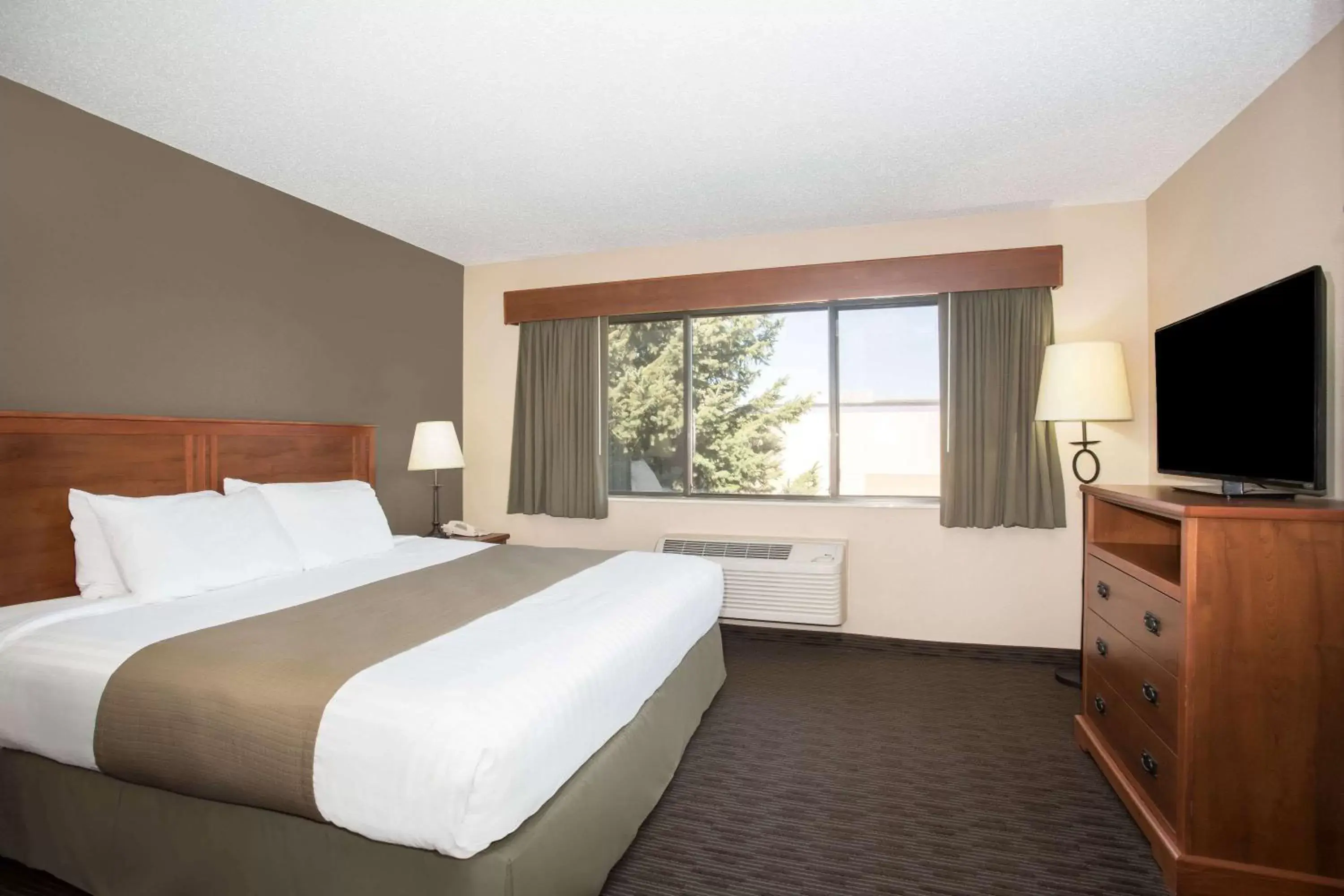 Photo of the whole room, Bed in AmericInn by Wyndham Sioux City