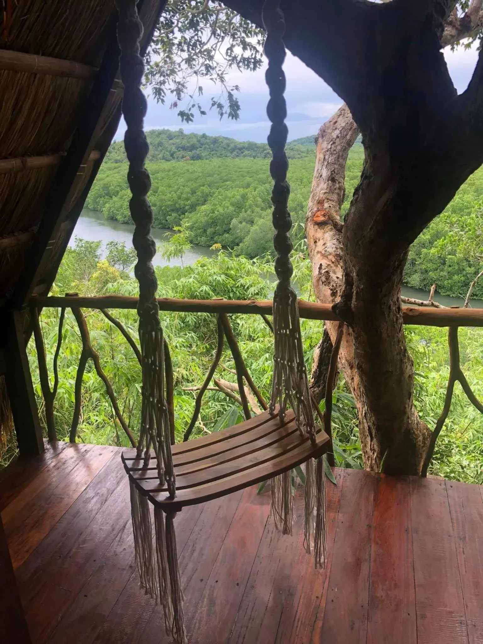 Sanctuaria Treehouses Busuanga