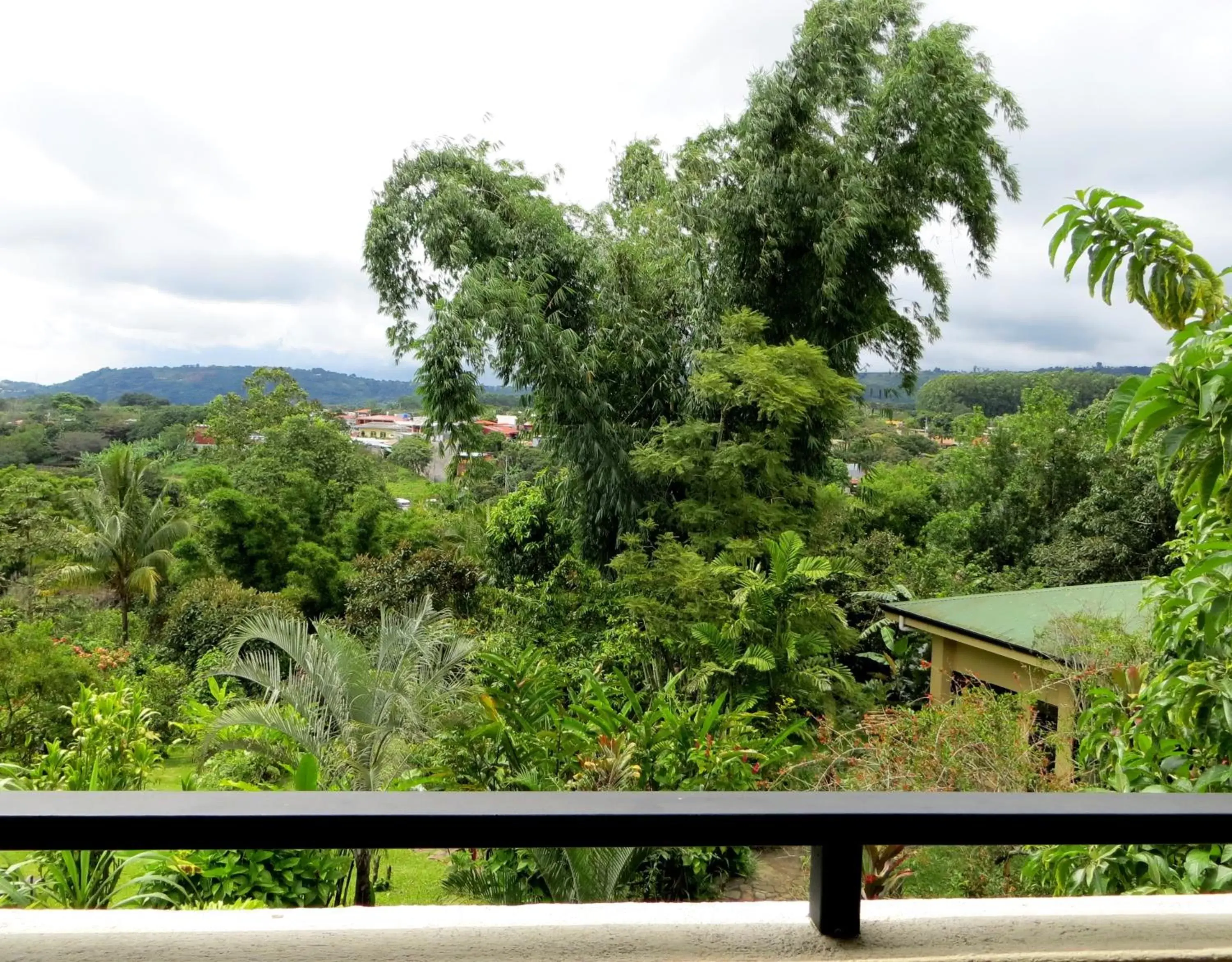 Garden view in Pura Vida Hotel