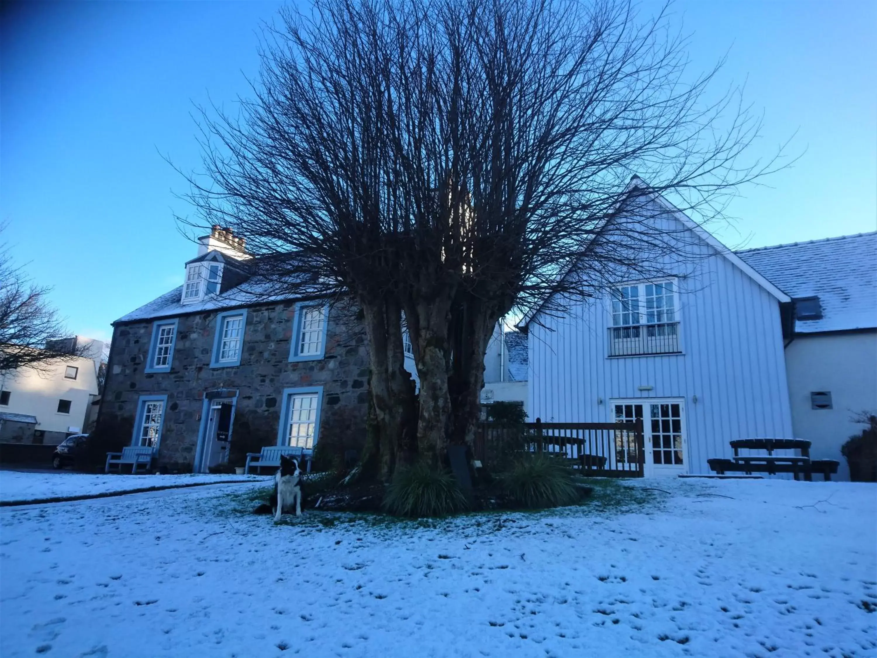 Property building, Winter in Lime Tree An Ealdhain