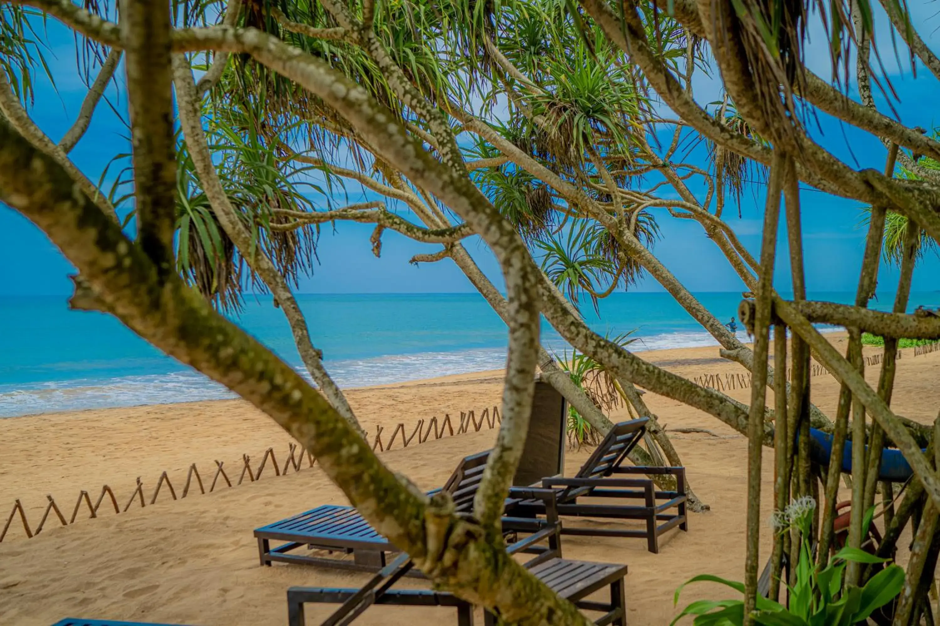 Beach in Temple Tree Resort & Spa