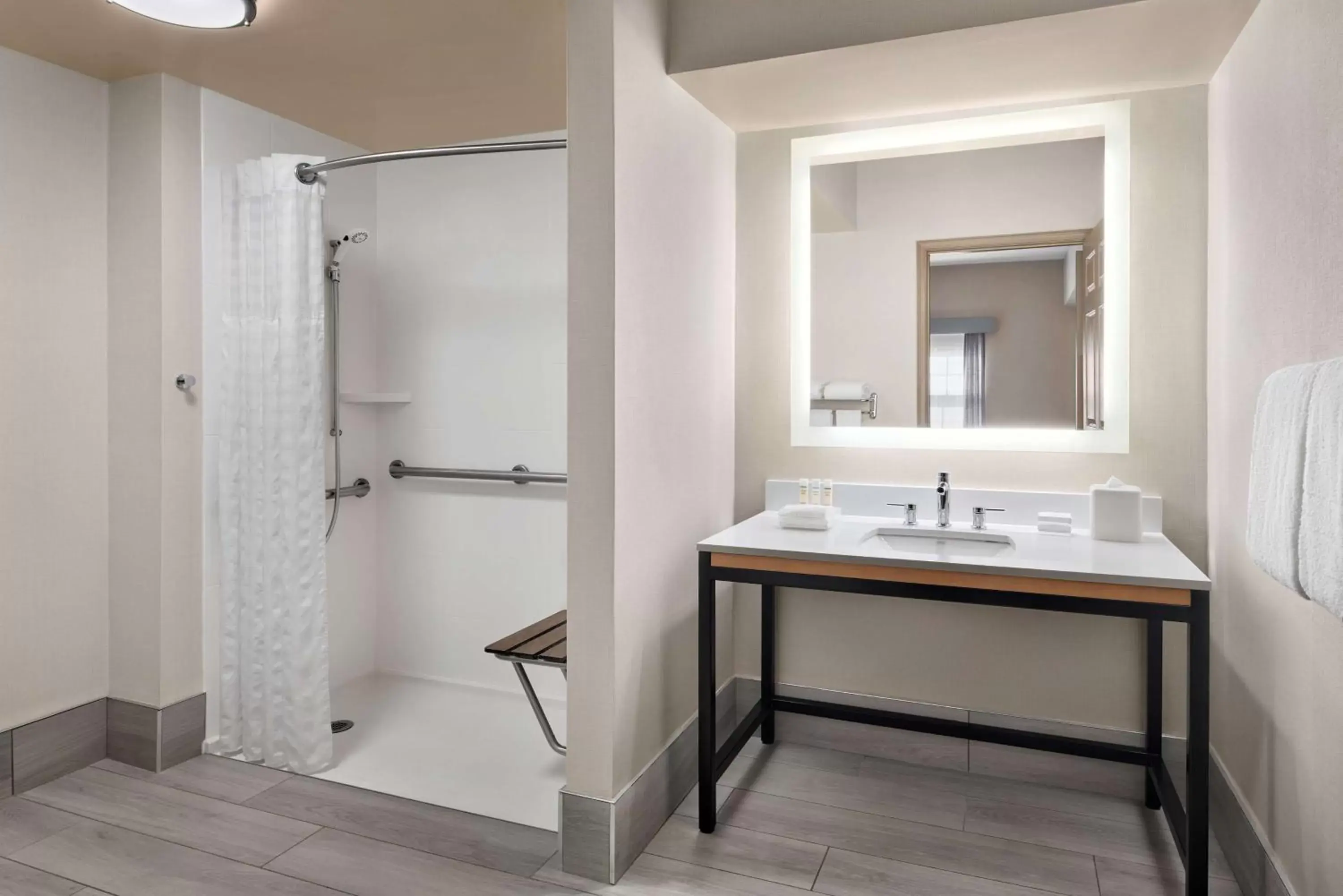 Bathroom in Homewood Suites by Hilton Baltimore-Washington Intl Apt