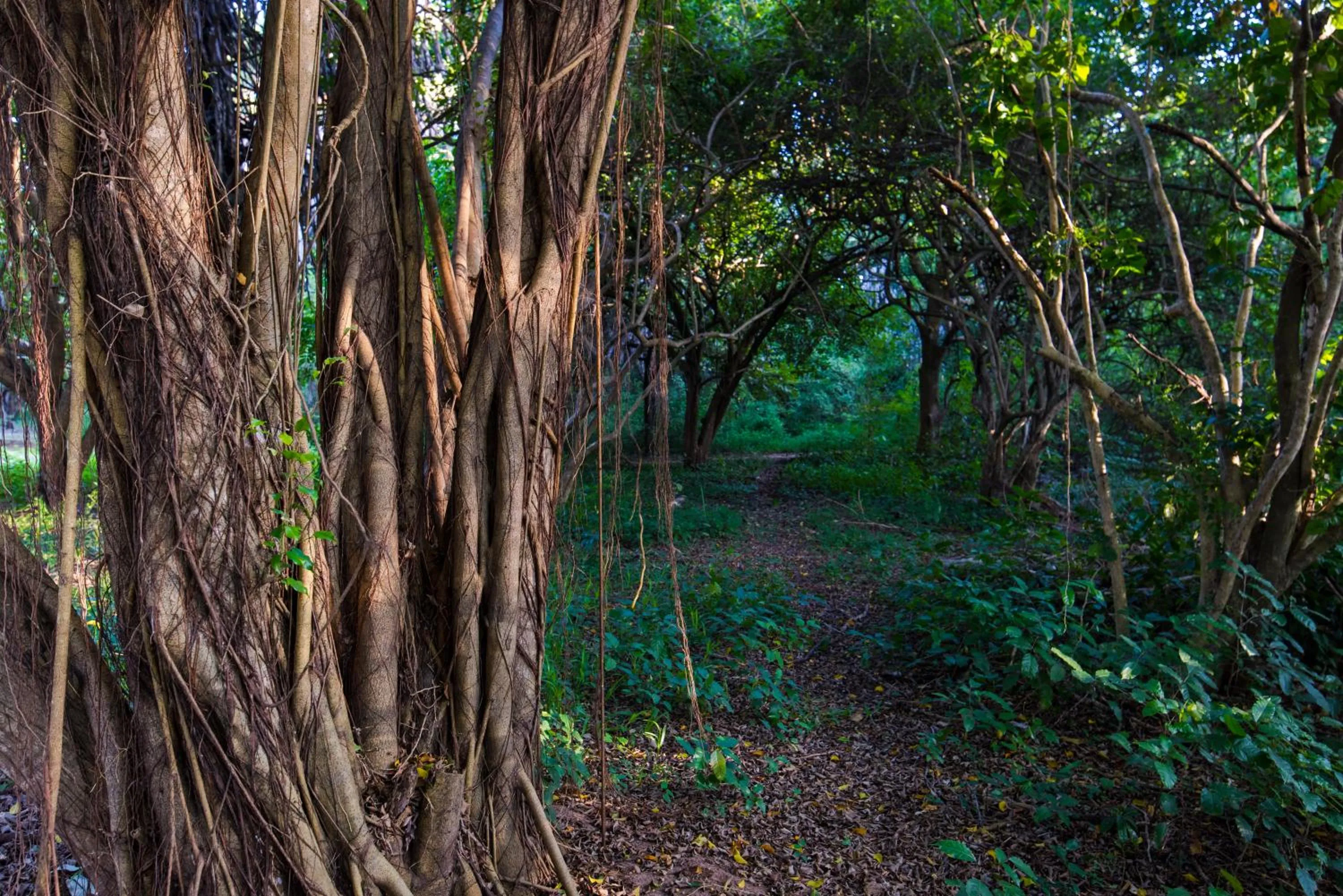 Hiking in Amani Beach Resort