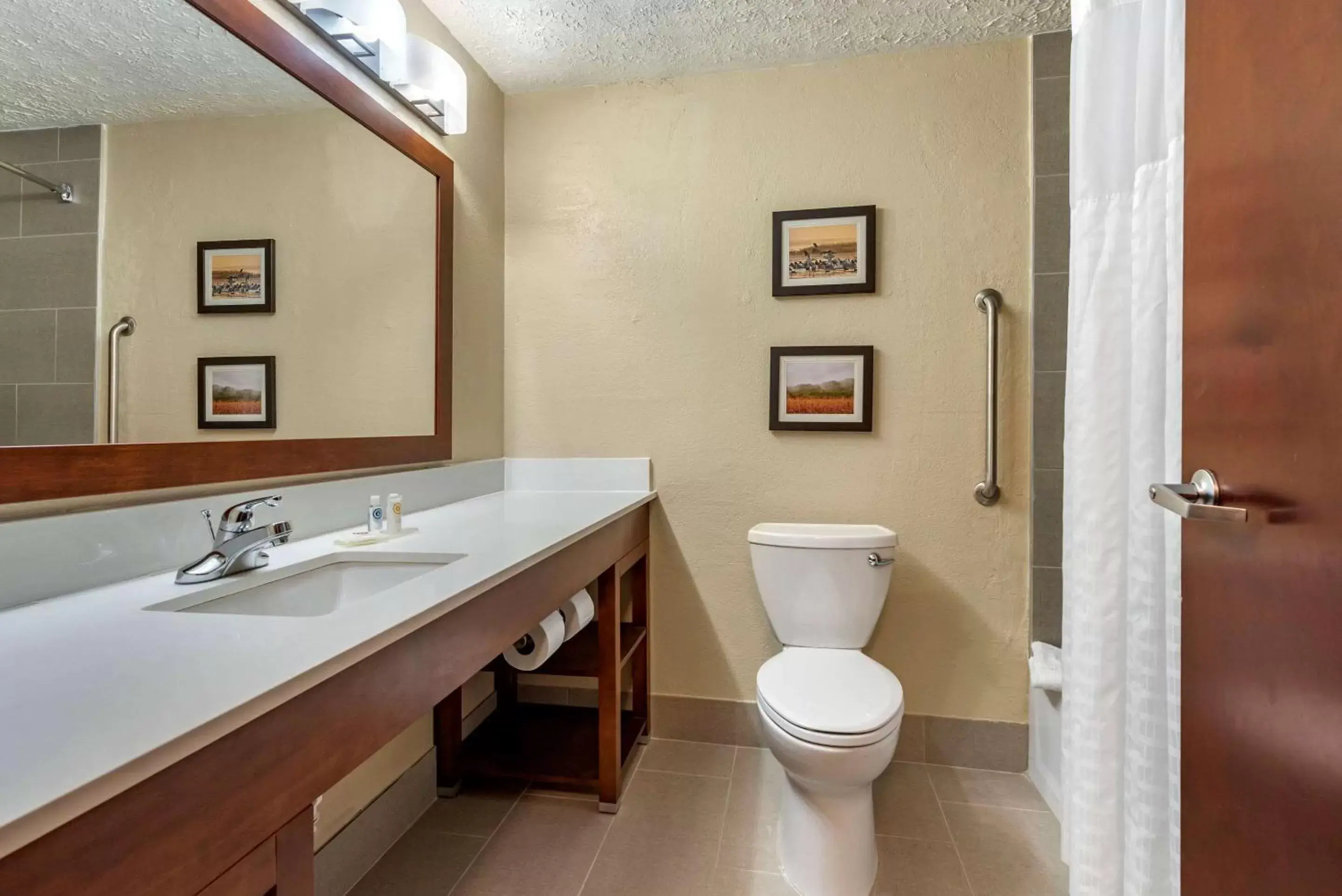 Photo of the whole room, Bathroom in Comfort Inn Madison