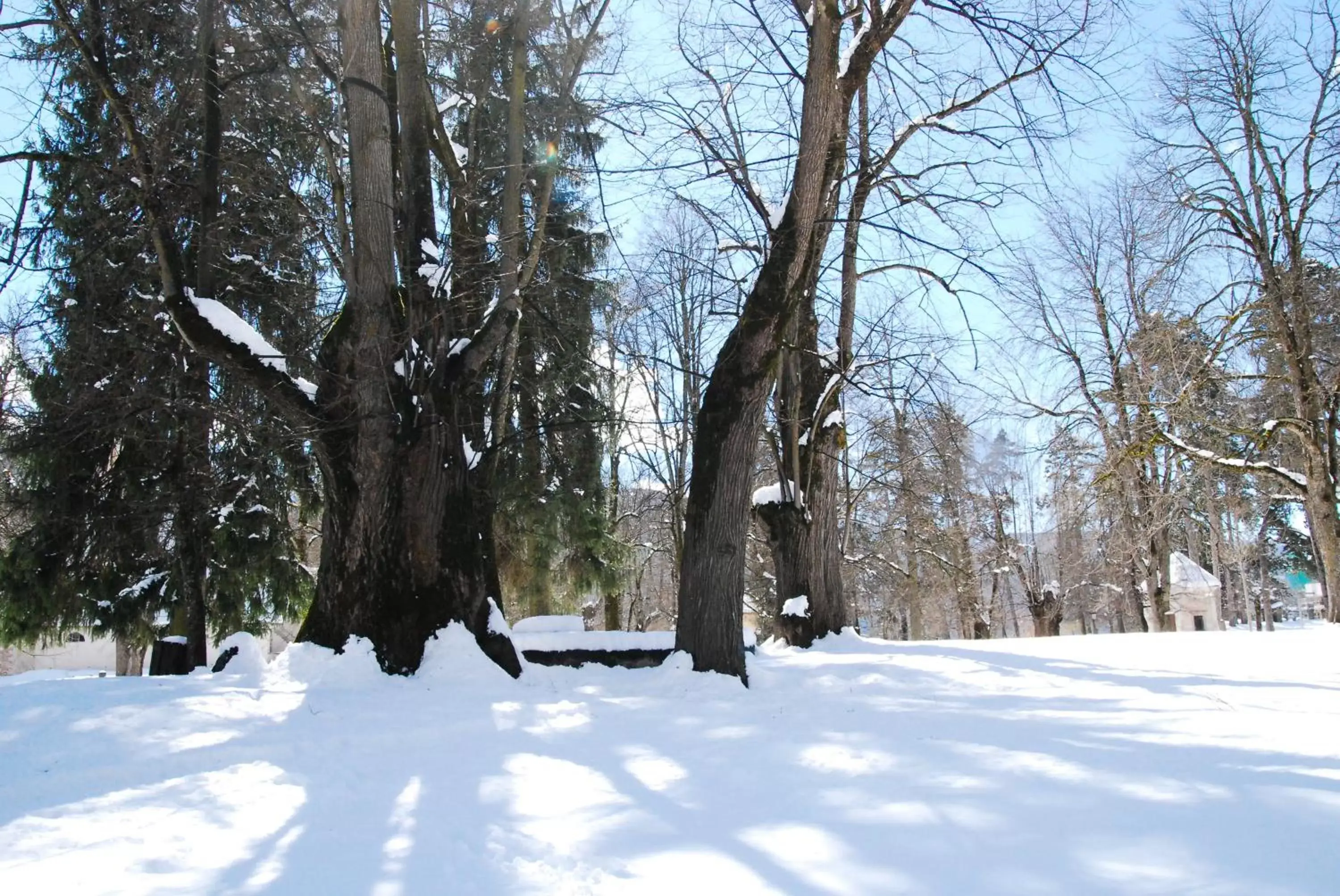 Nearby landmark, Winter in Hotel San Valier