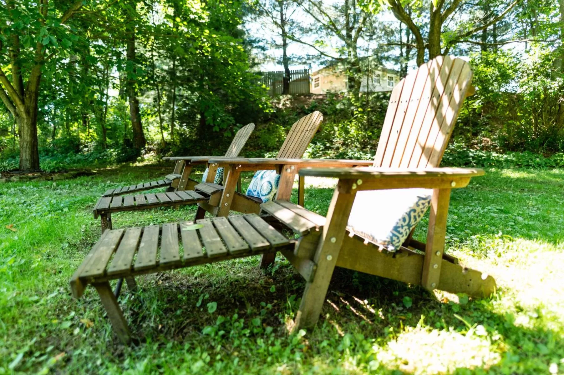 The Pines of Dresden