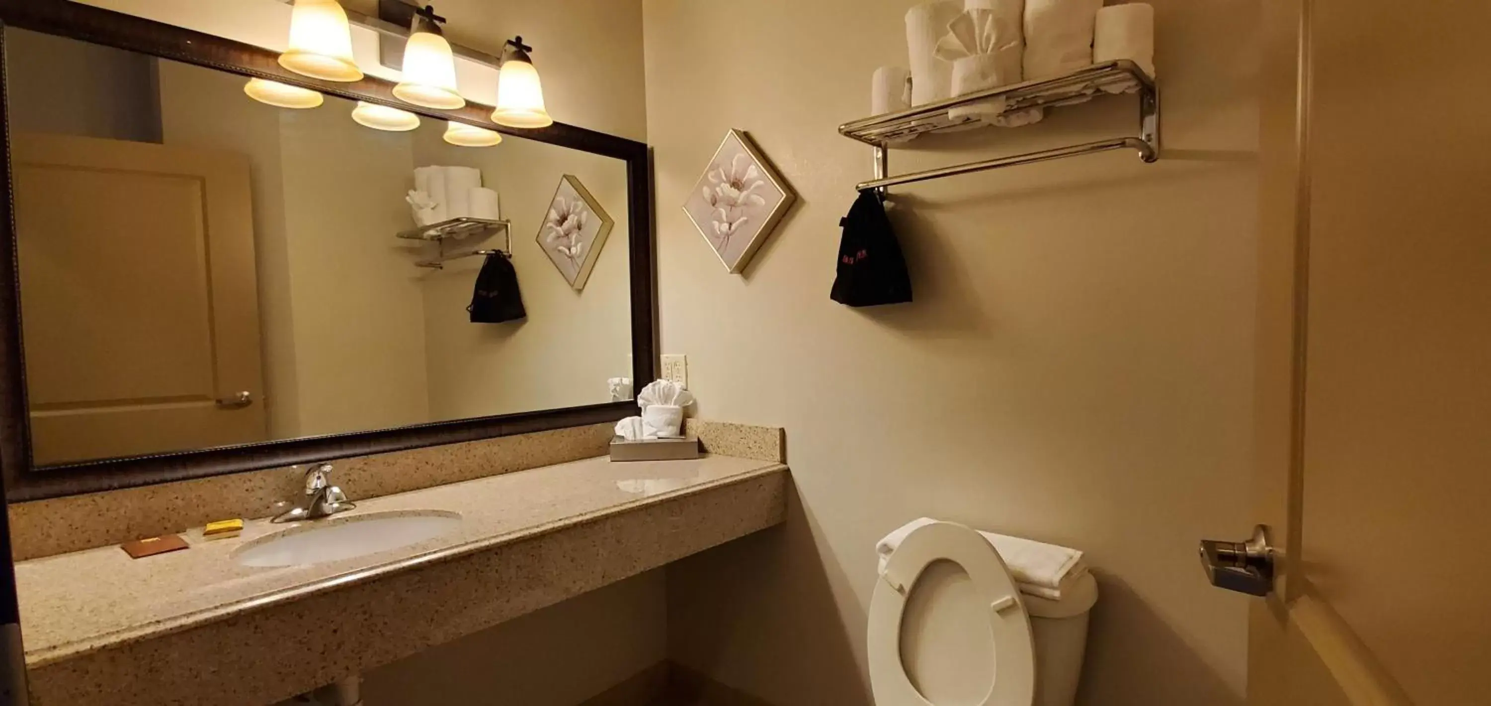Bathroom in Best Western Plus Emory at Lake Fork Inn & Suites