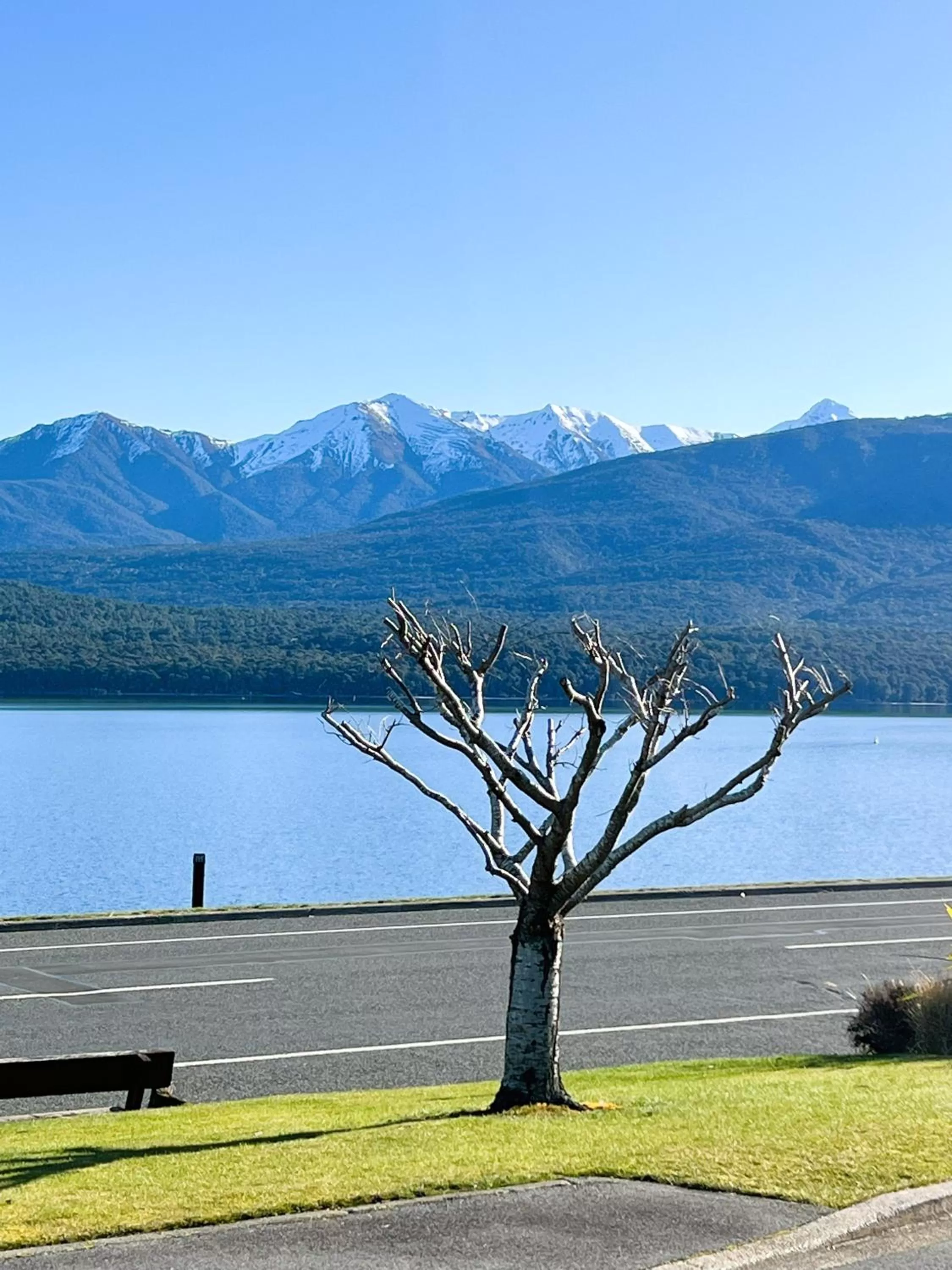 Lake view in Fiordland Lakeview Motel and Apartments