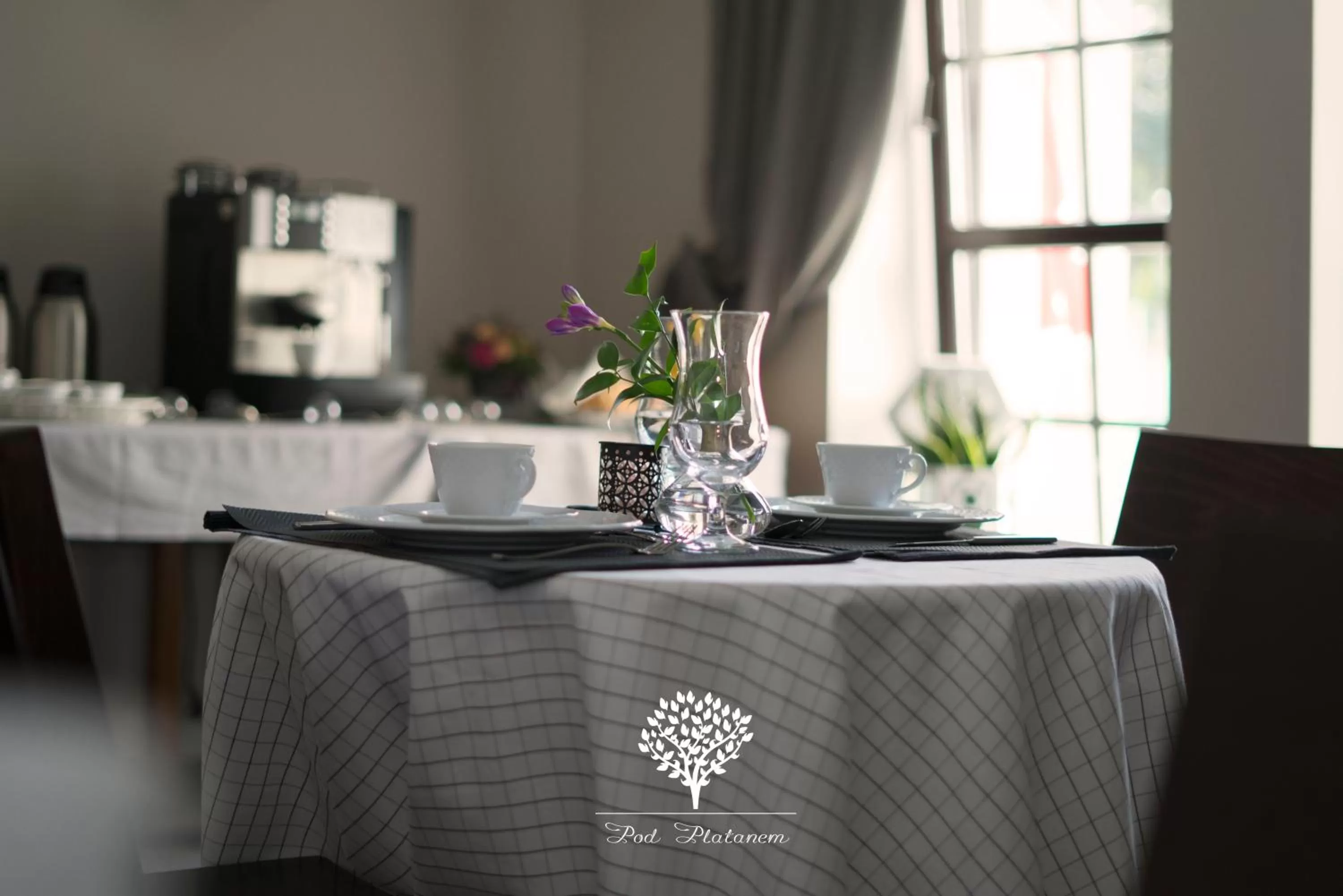 Restaurant/Places to Eat in Pod Platanem Gliwice