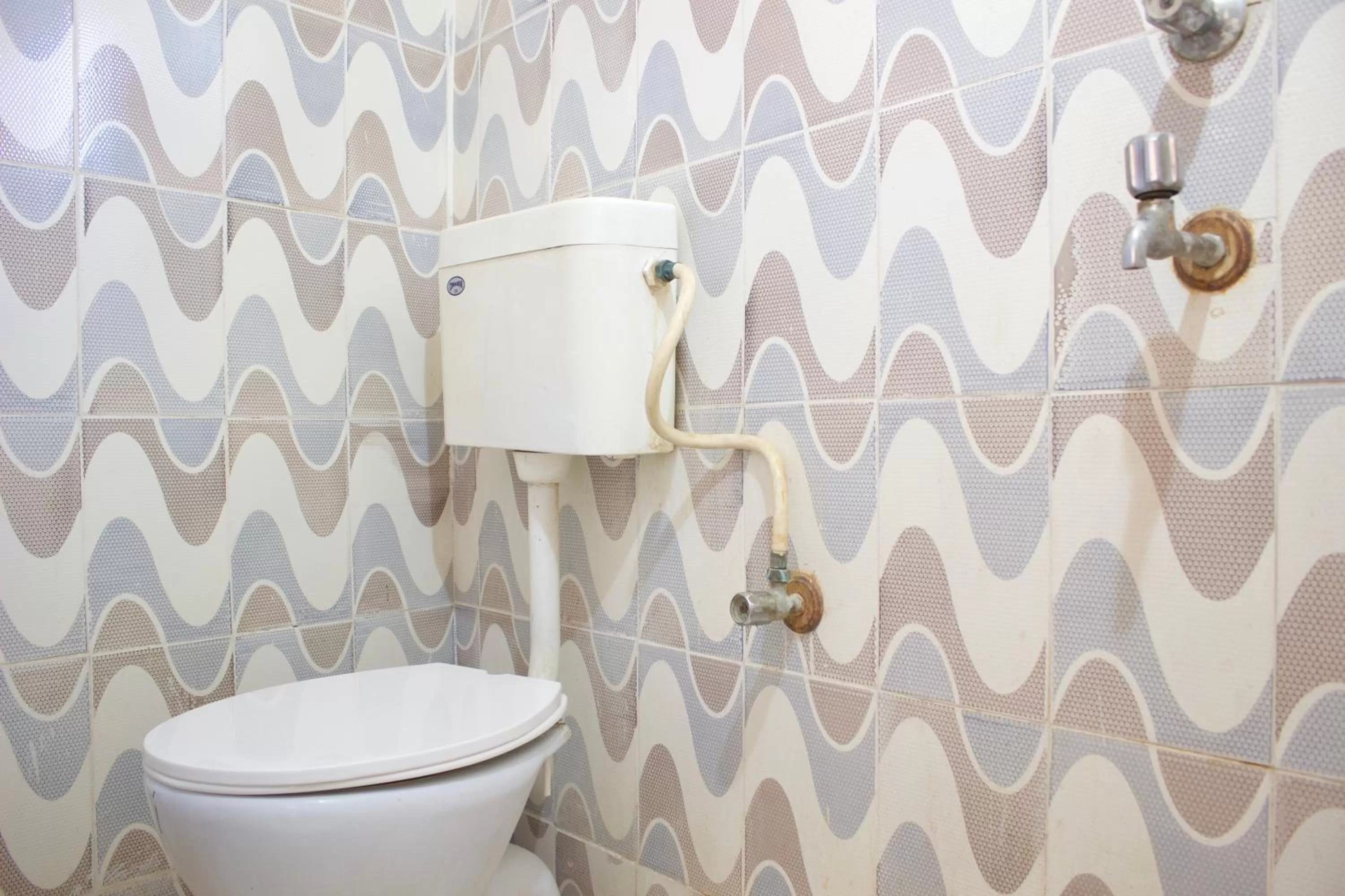 Toilet in Hotel Desert